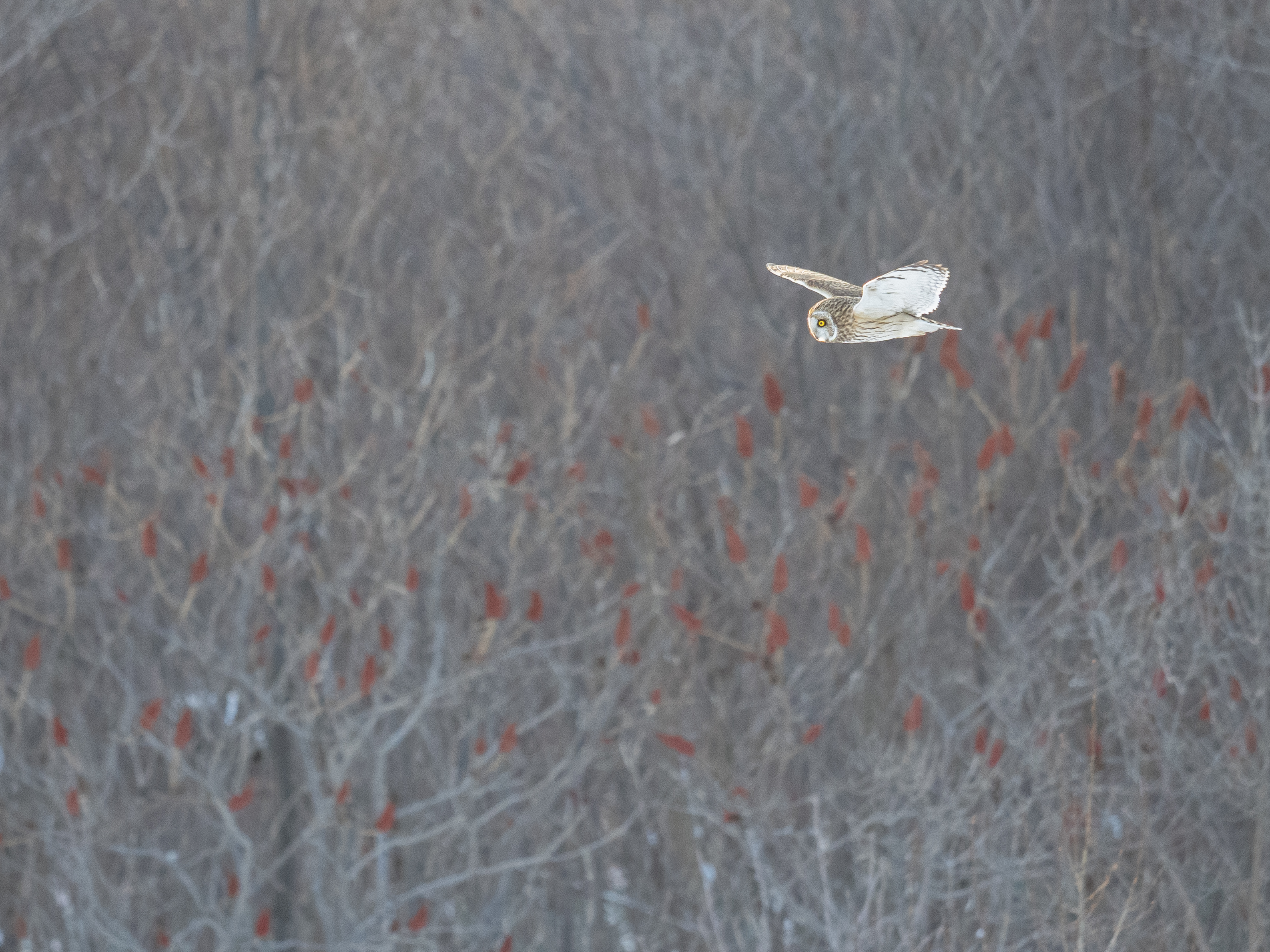 In Our Own Backyards