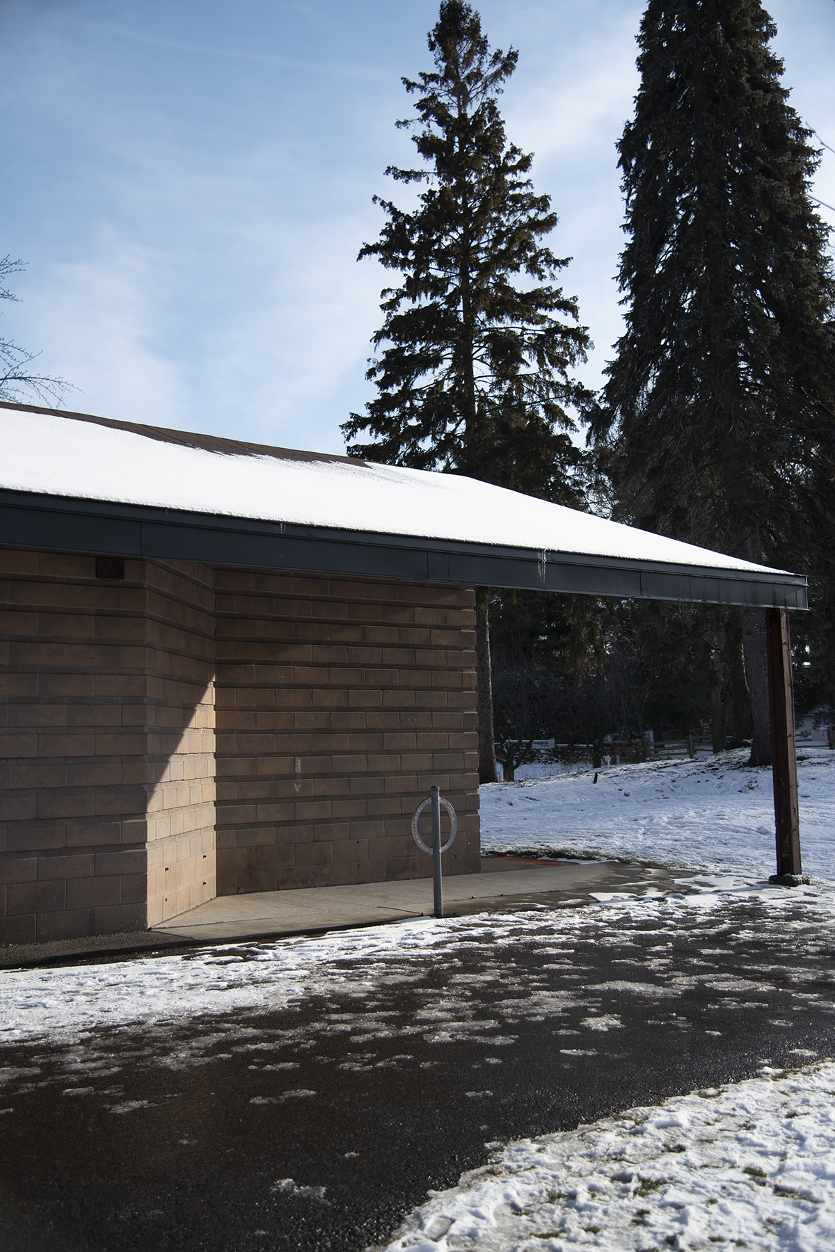 Where We Used to Walk