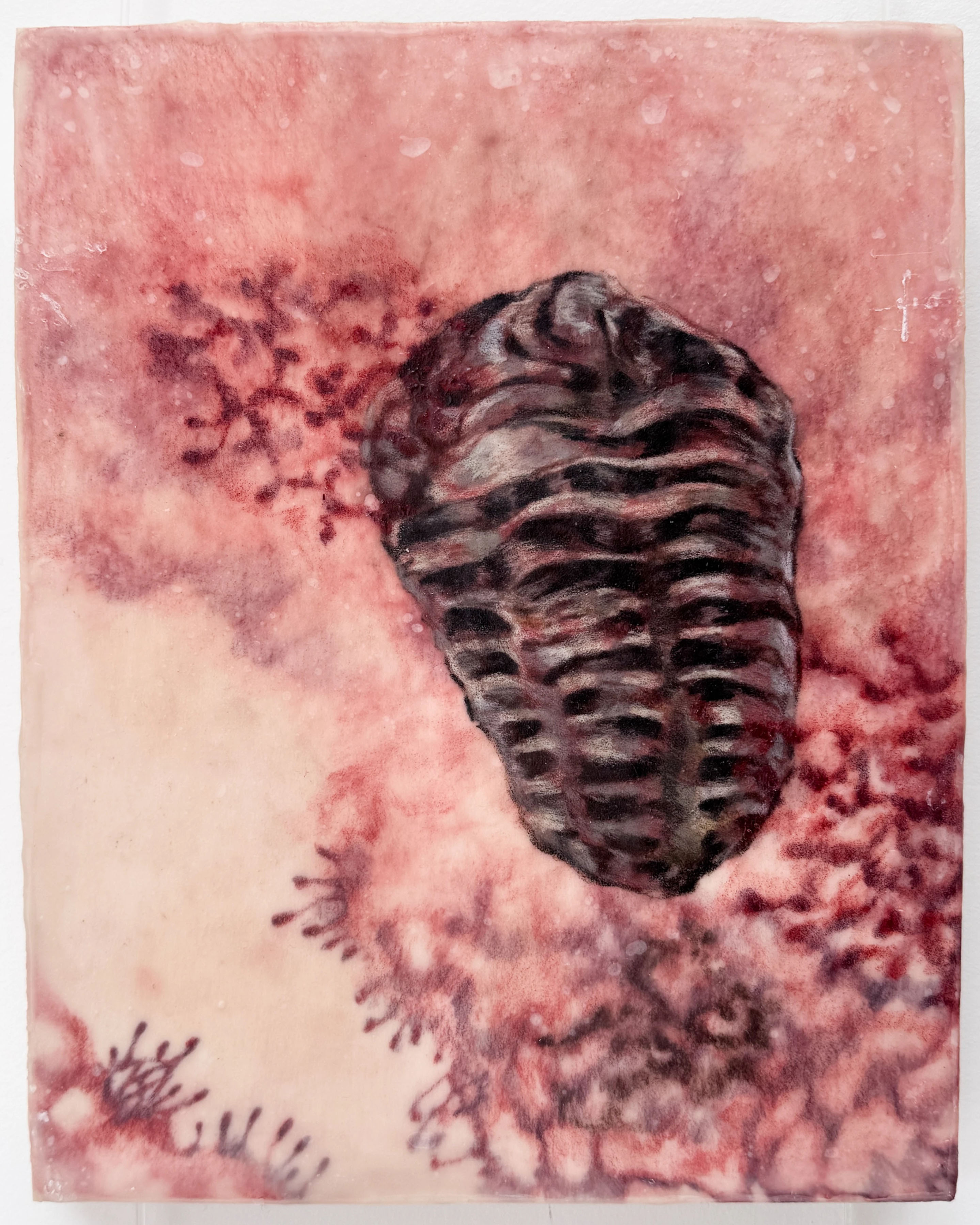 Desire Line II: Fossil