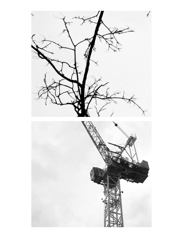 Explorations of Biomimicry and Relationally