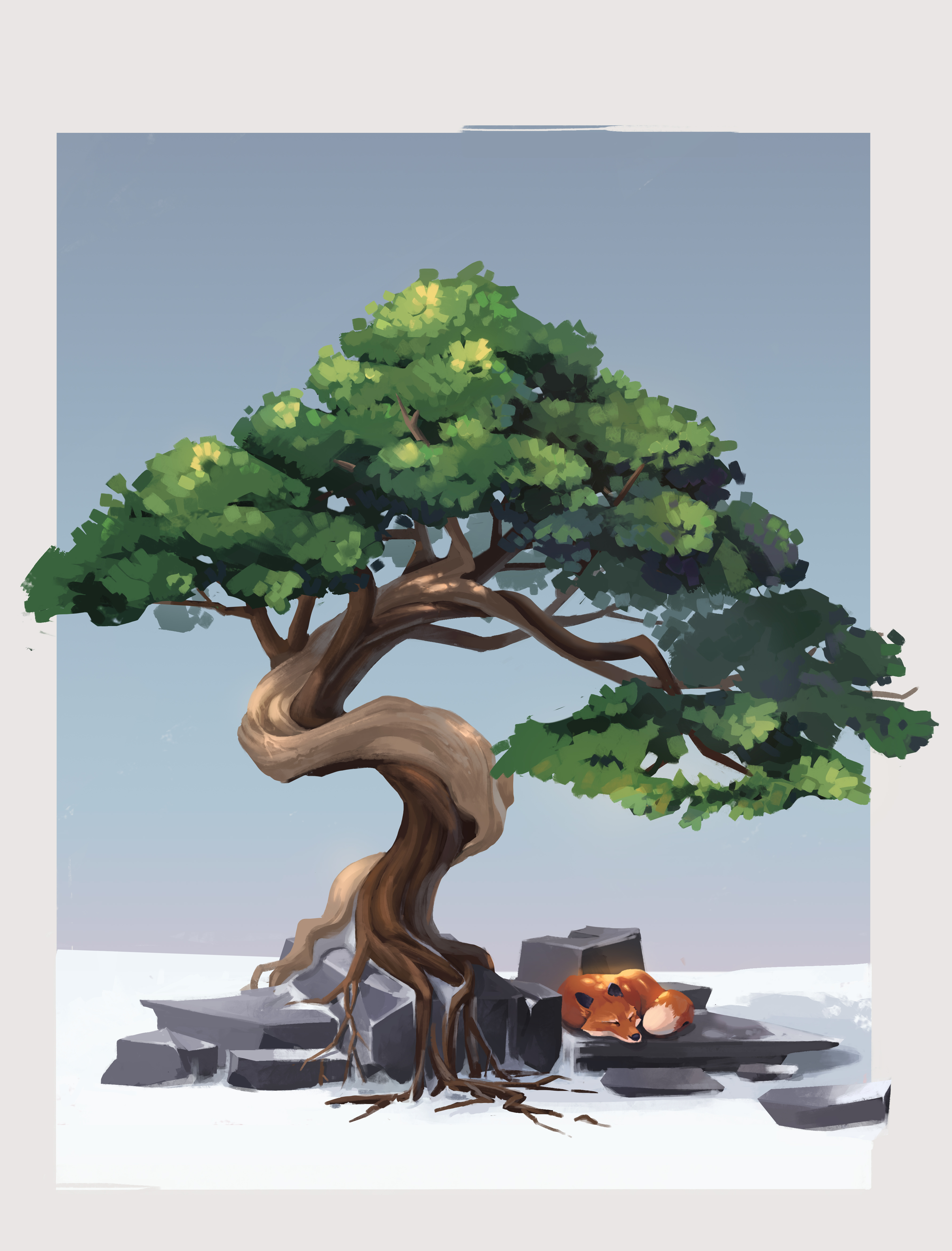 Calm After The Storm