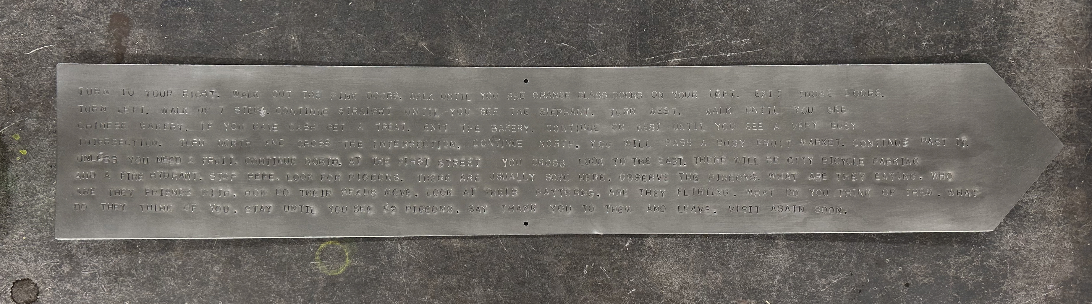 look for pigeons (these are the directions)