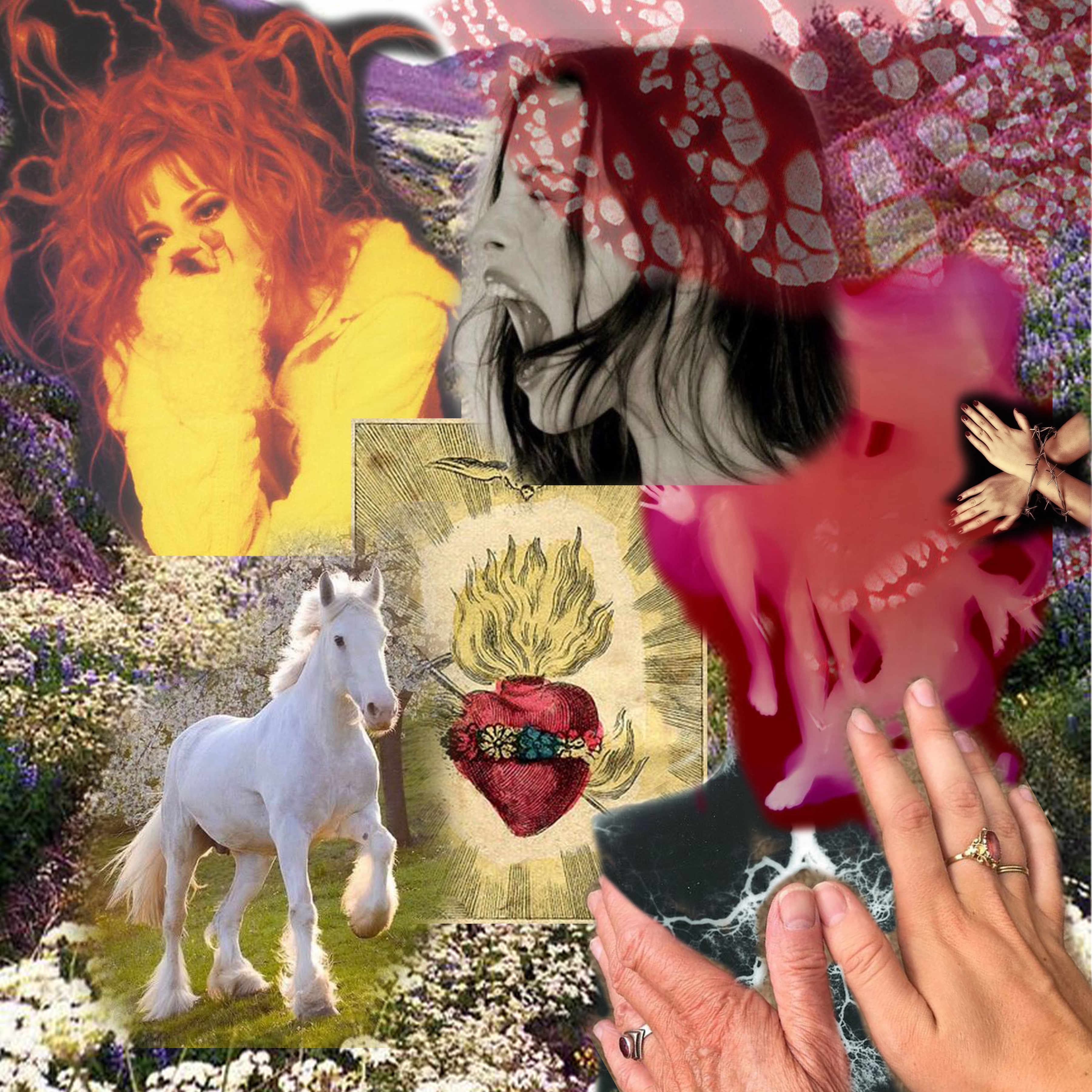 Collage: What is Gender?