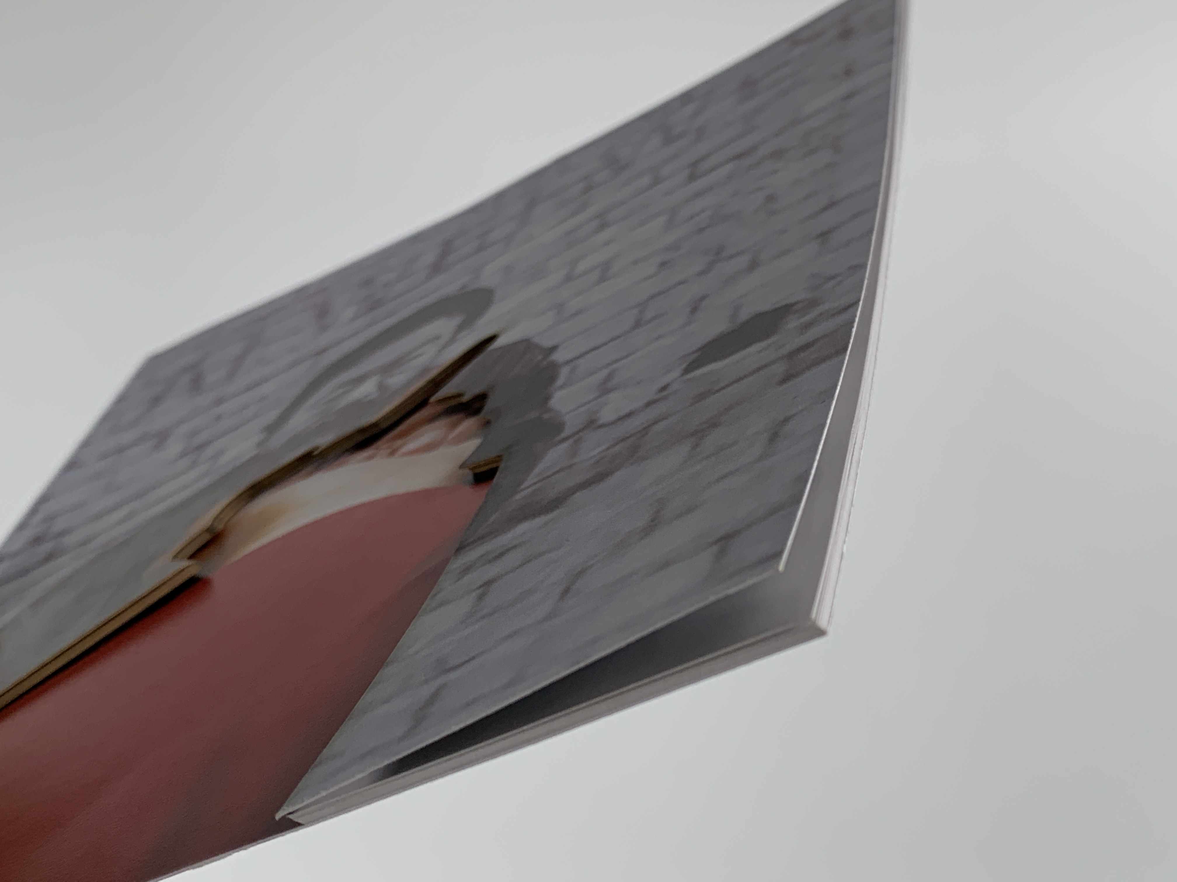 ▐  Ai Weiwei Custom Booklet ▐