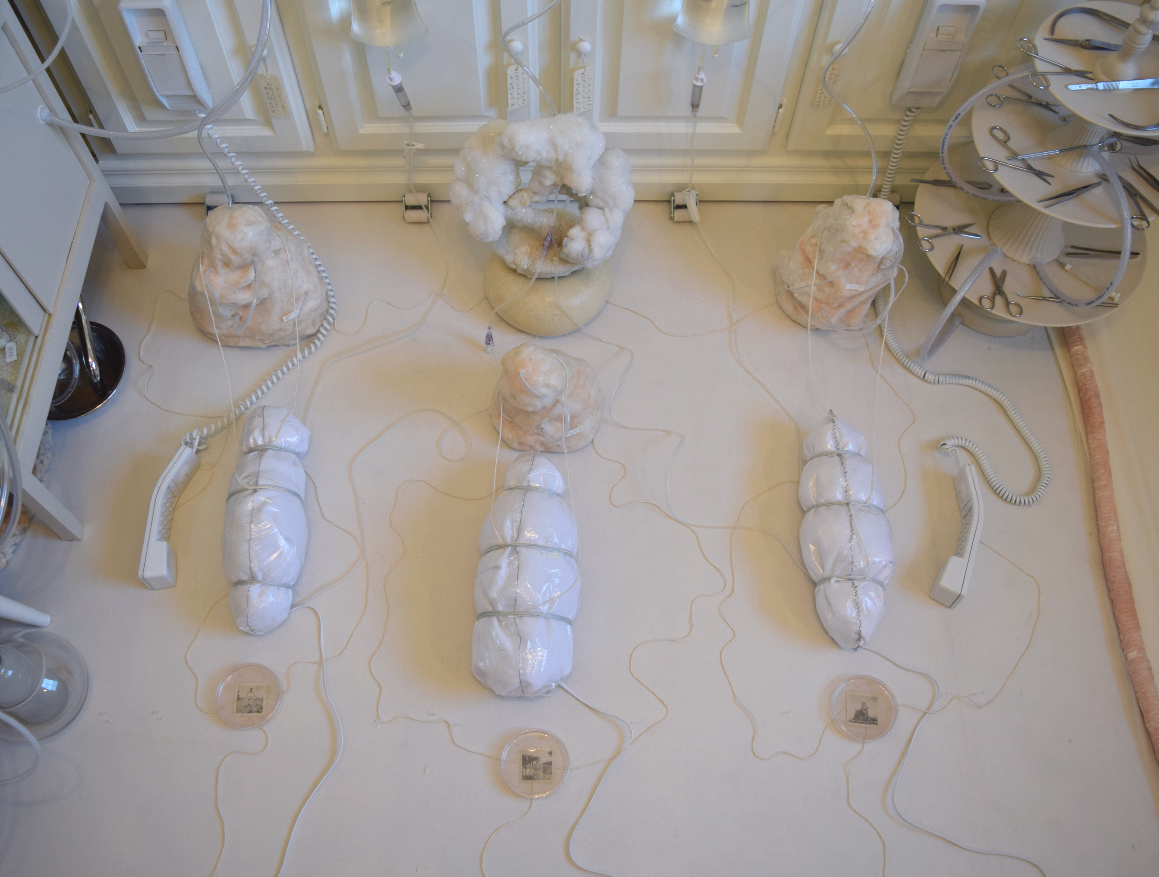 Warm Bodies, Ghostly Specimens, Stoic Machines | Installation Details II