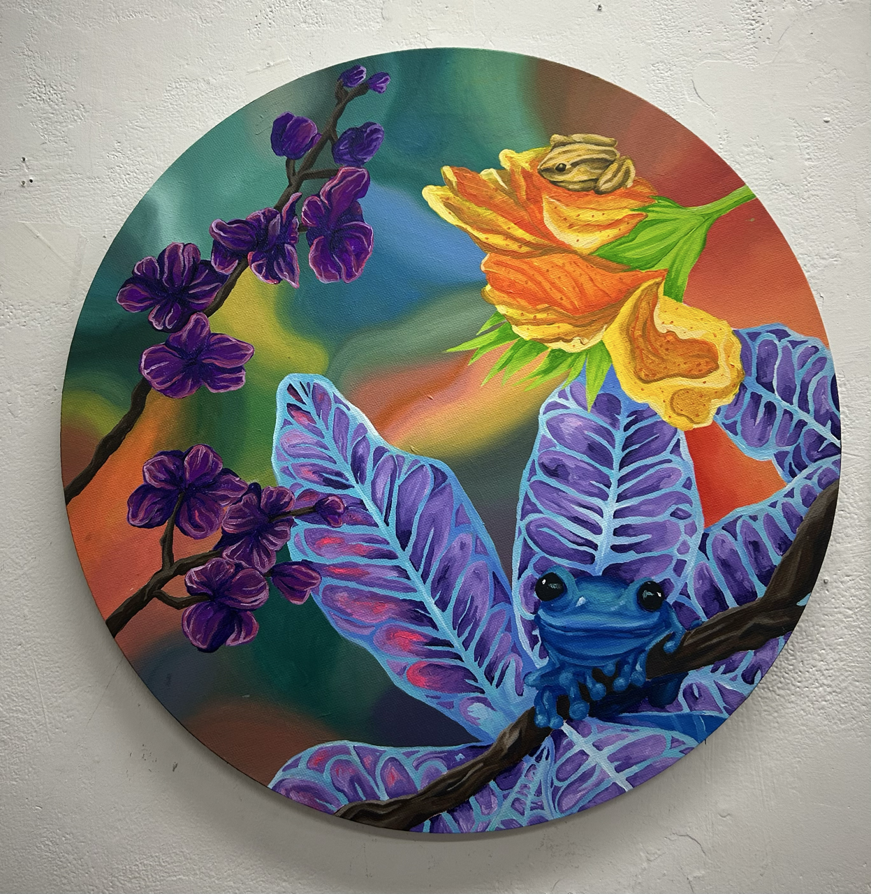 Frogs