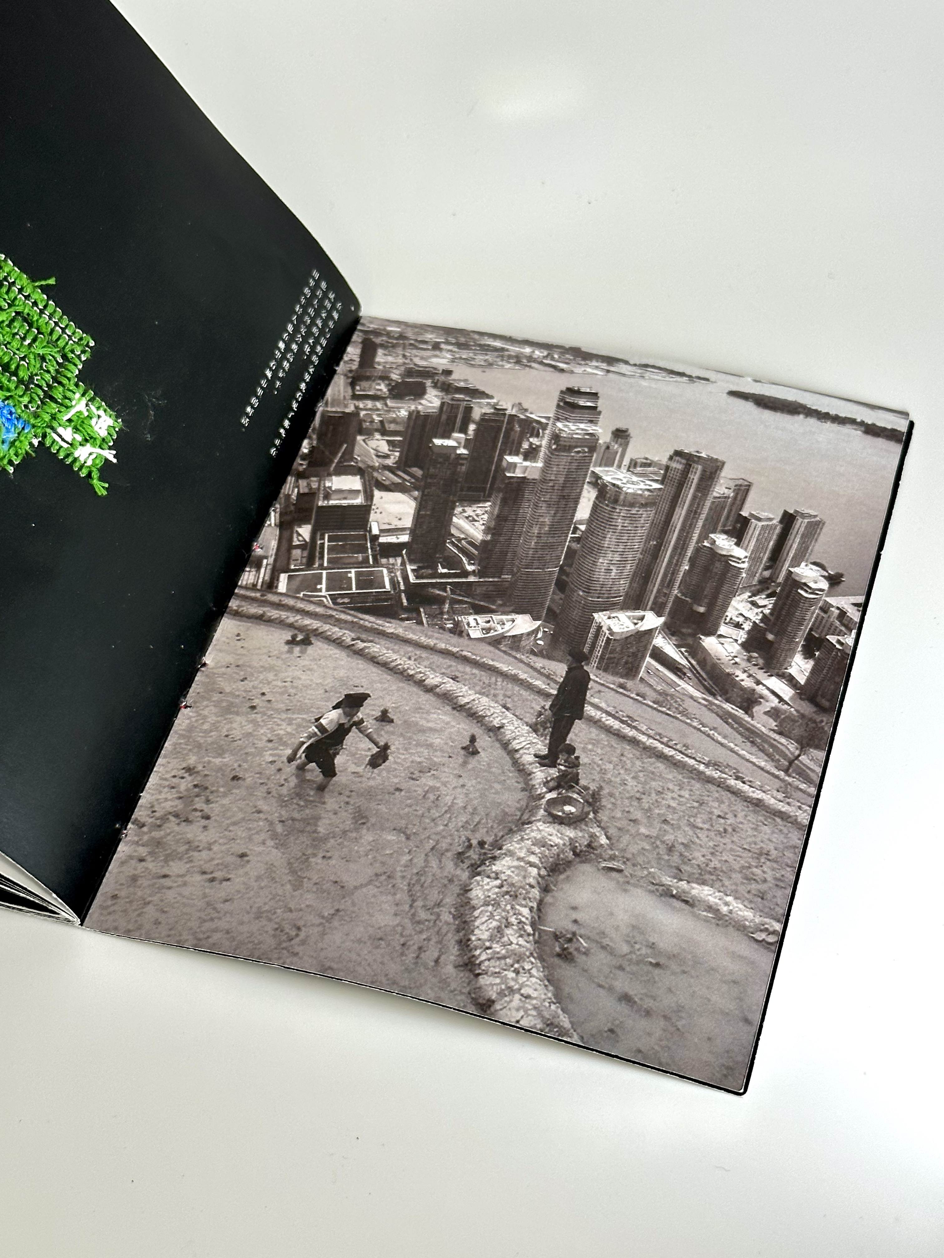 Embroidery——From Ha Ni to Aqkaq