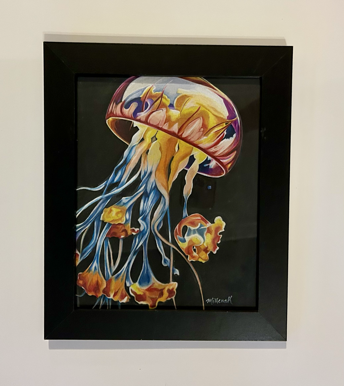 Jellyfish