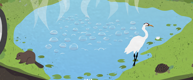 Stove And Kettle As Global Warming