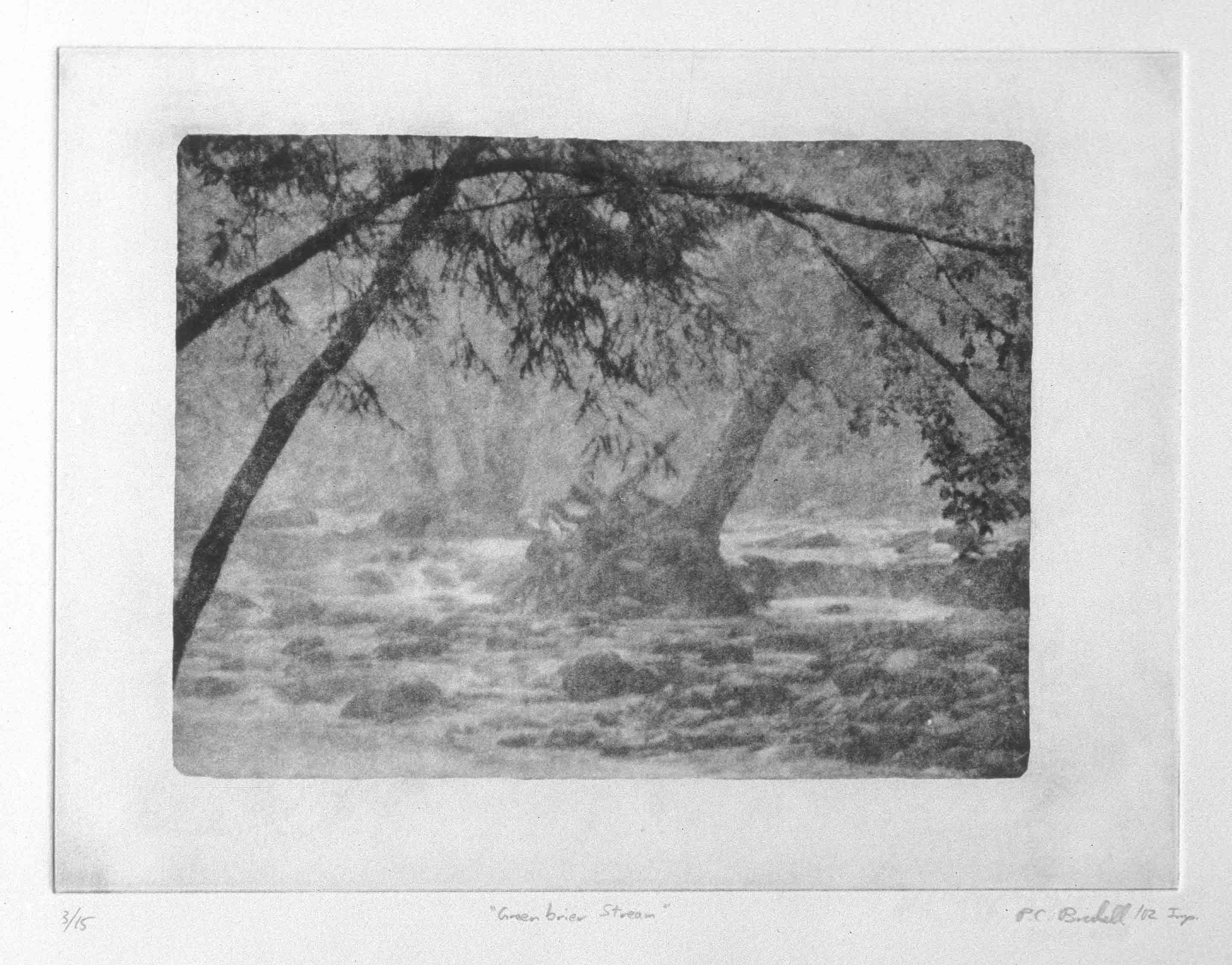 Greenbrier Stream