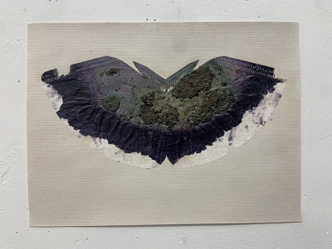 European Buckthorn Ink Filter