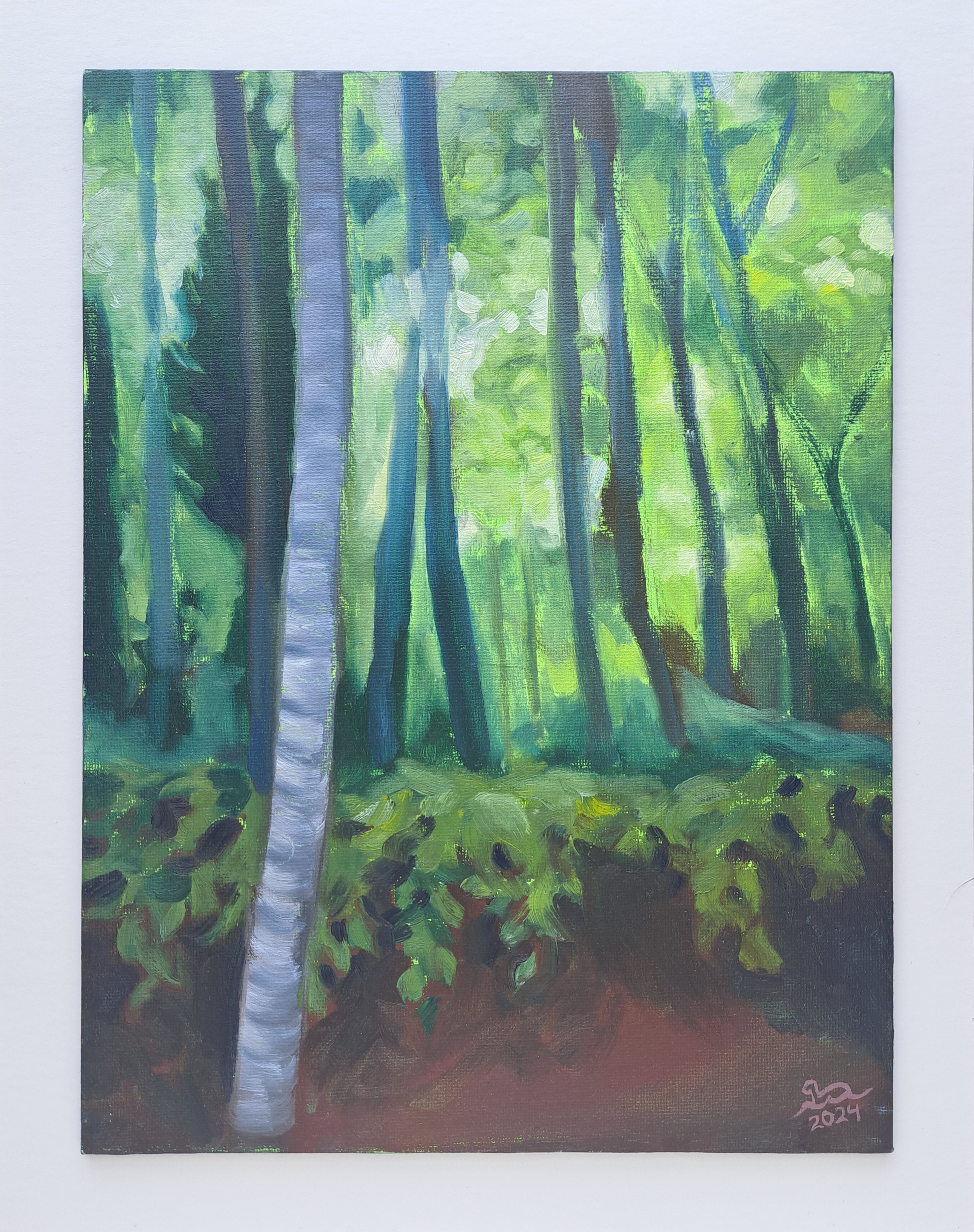 Sunlit Birches