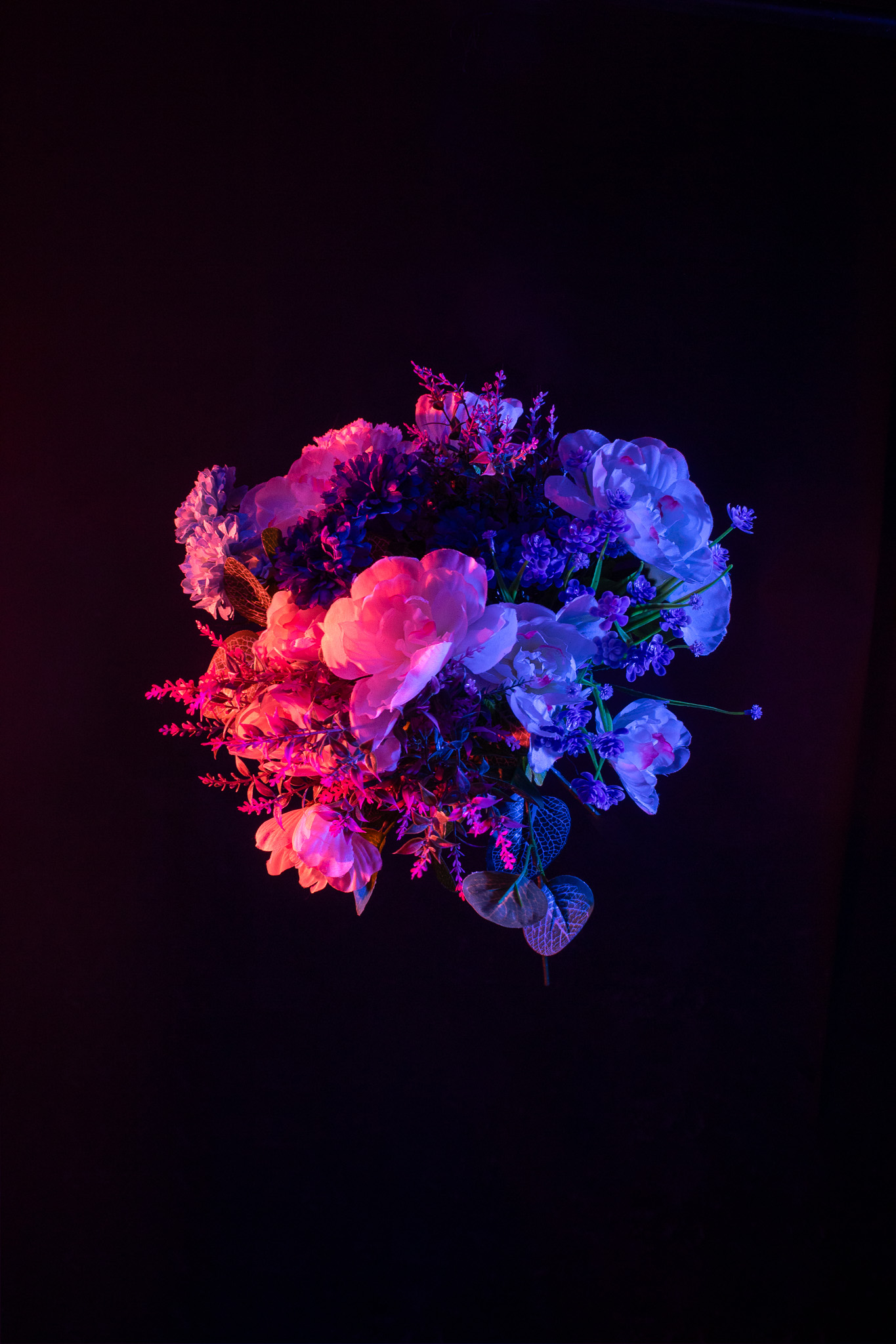 Ethereal Blooms