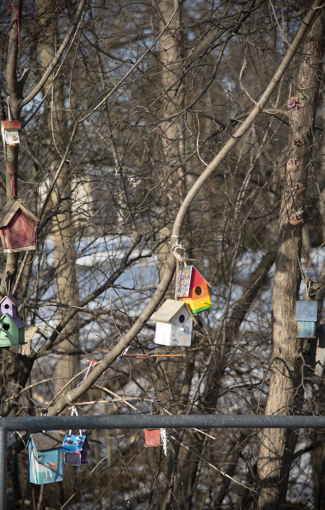 Where We Used to Walk