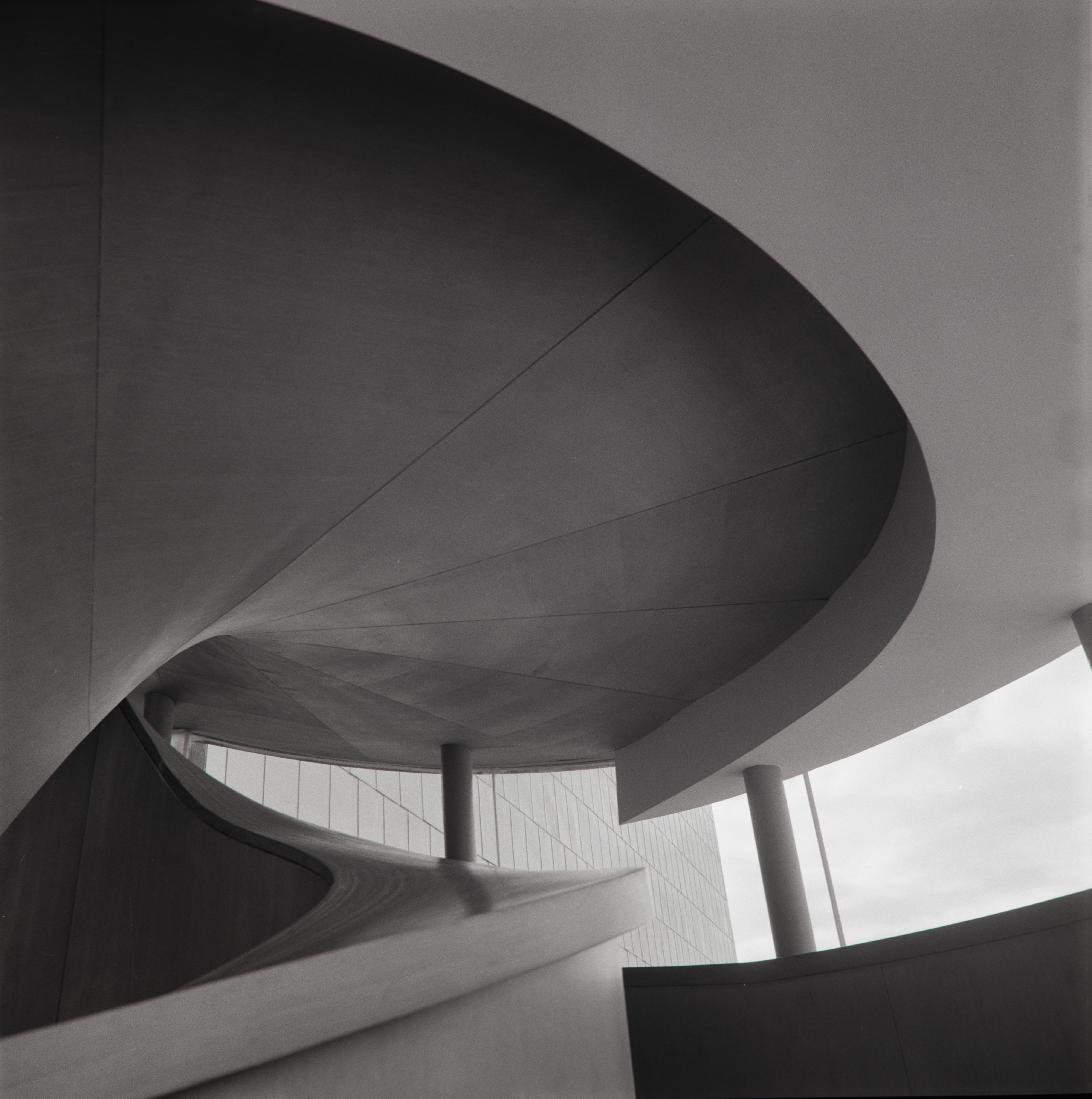 B&W Medium Format film