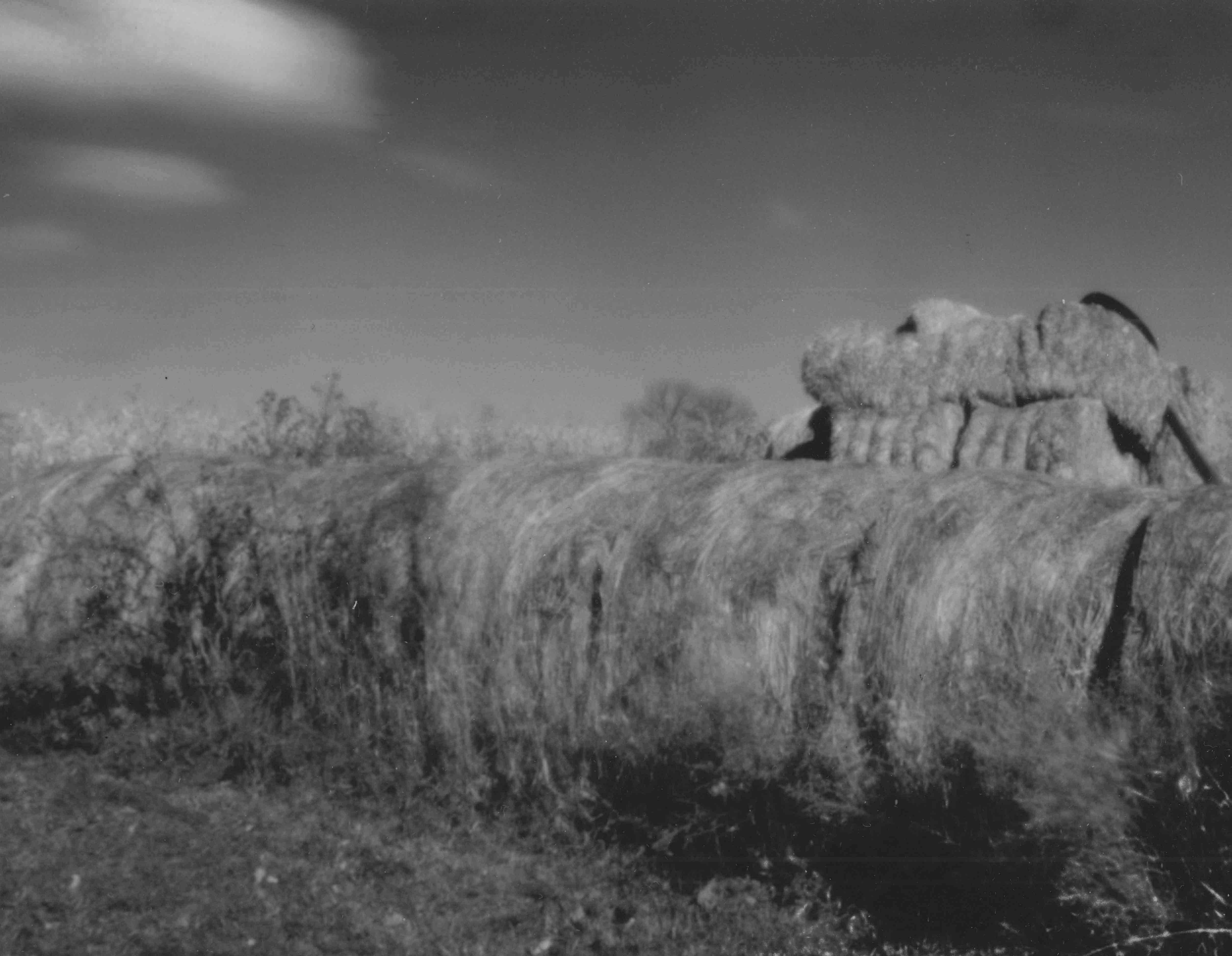 Hay Bales, Essay County