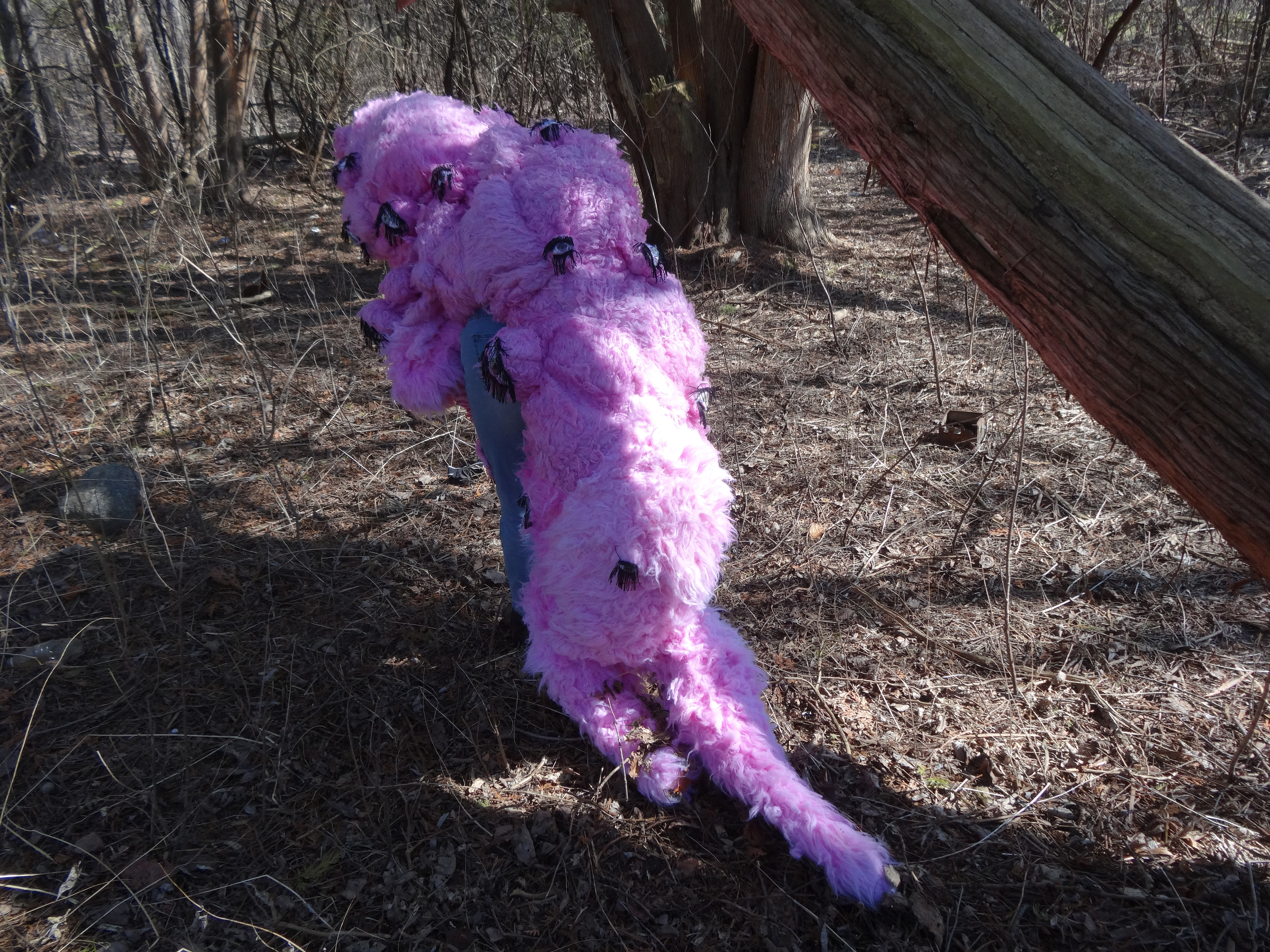 I Will Carry it all Along with me