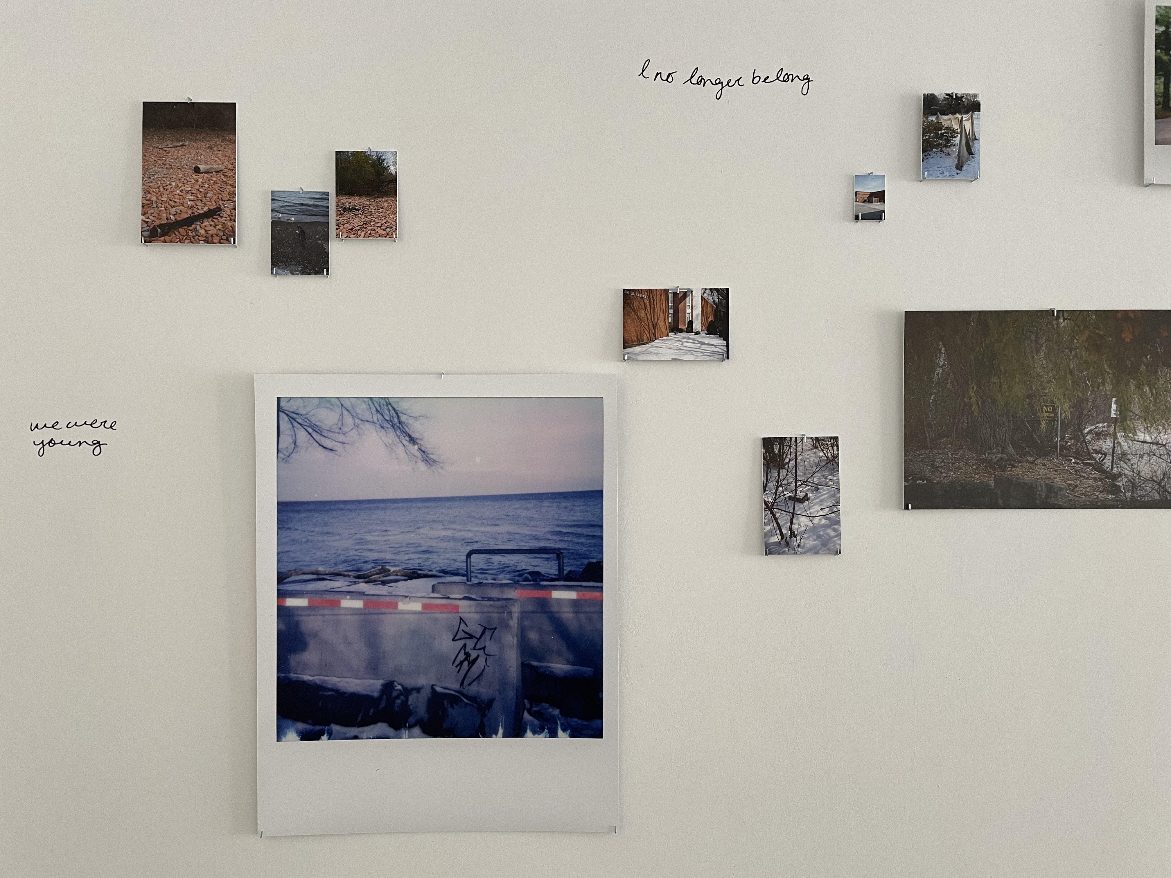 Where We Used to Walk - Installation