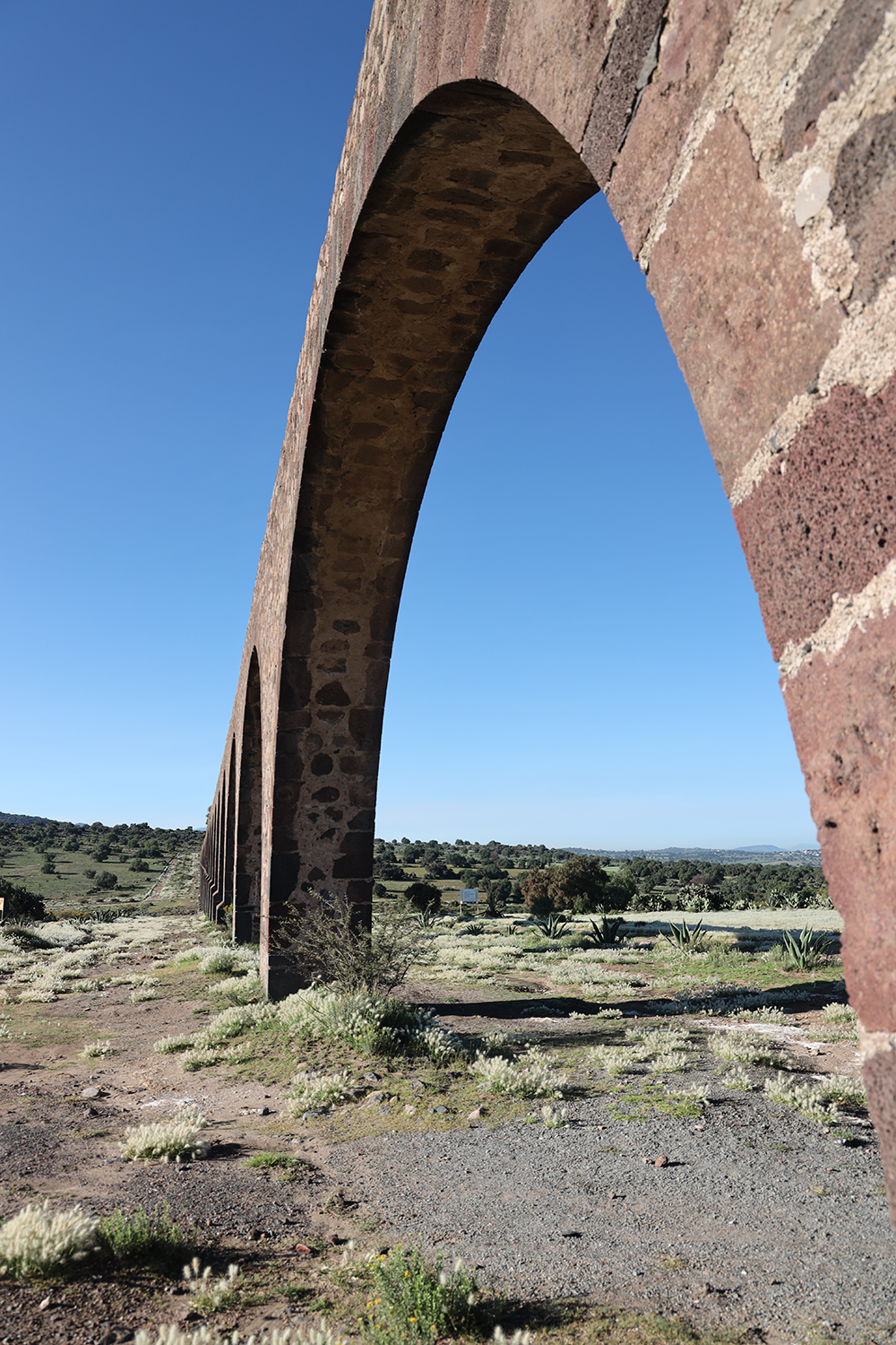 Arcos, Agua y Nopales 7