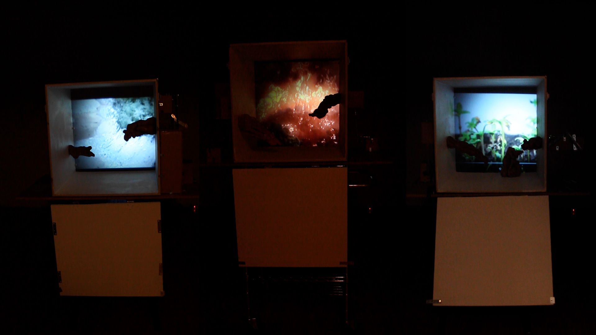 Documentation Images from "Any Part Can Be a Genesis" Installation & Art Objects