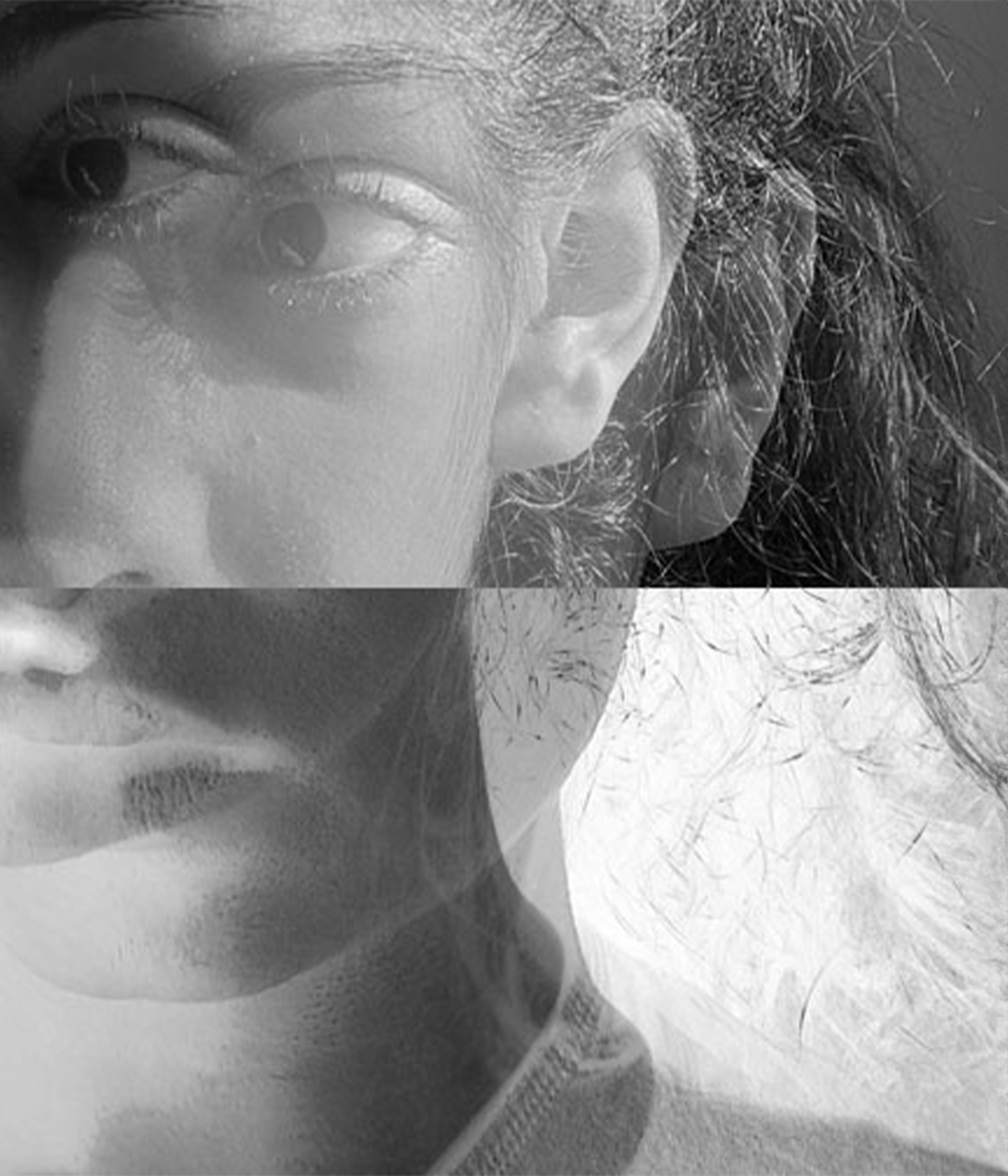 Duality