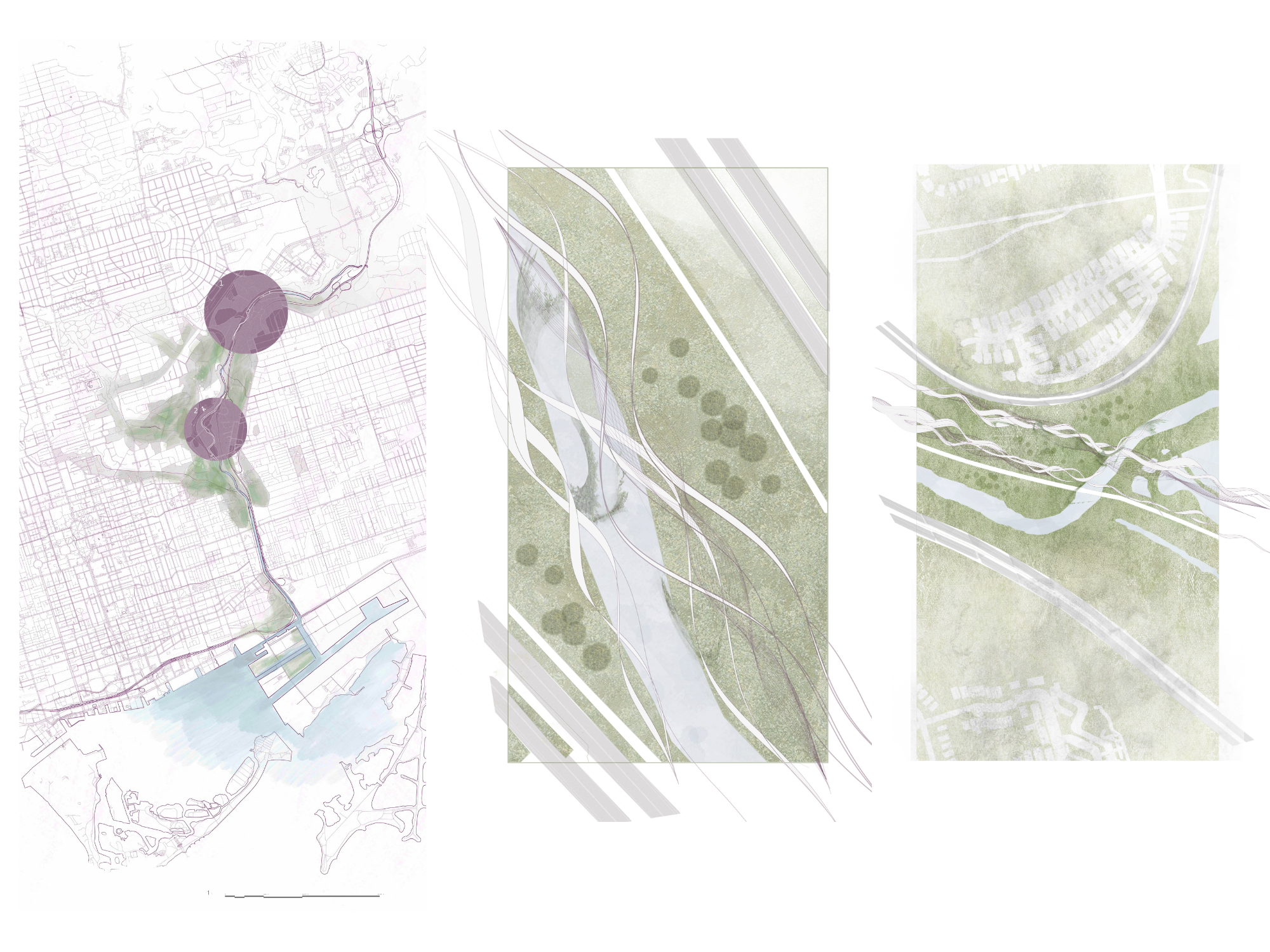 Co-Habitat Corridor