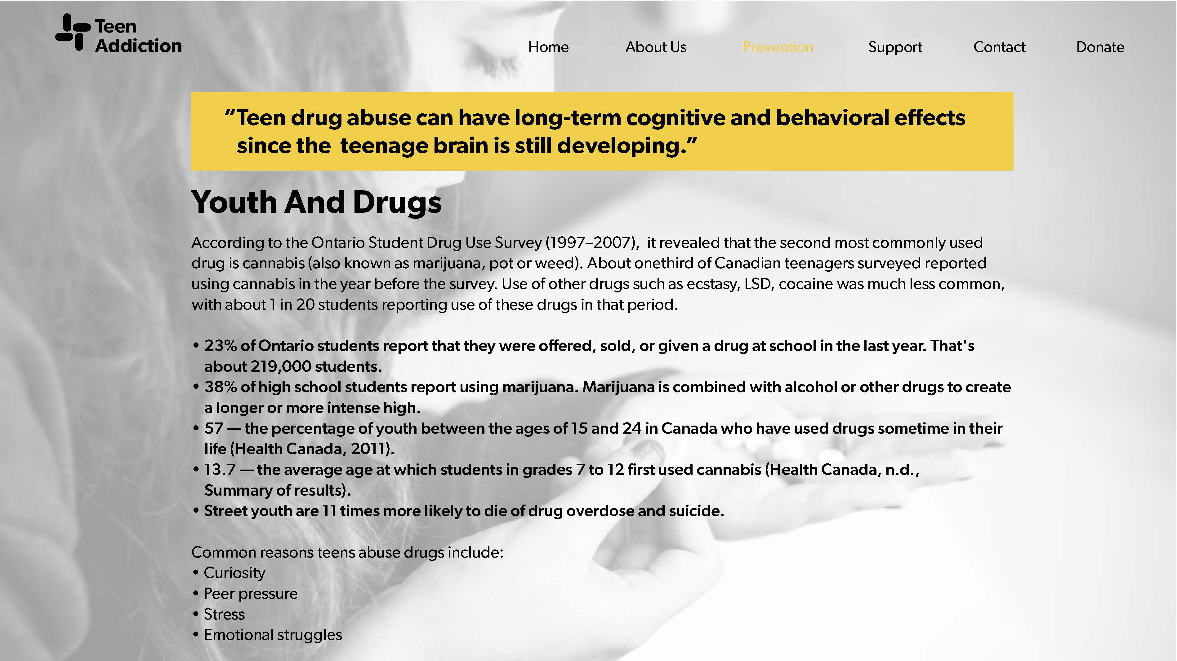 Teen Addiction Website