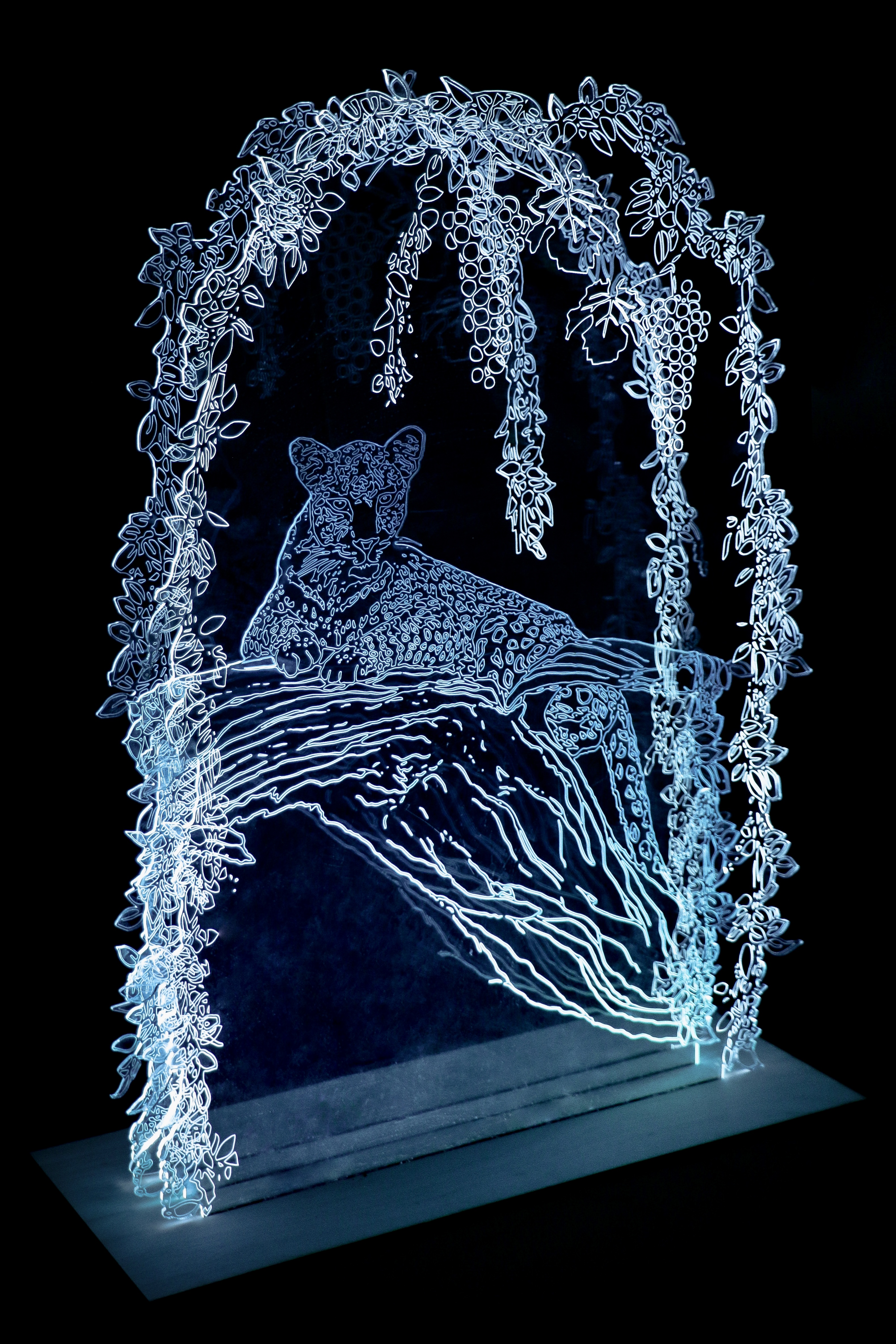 From the Hills of Leopards