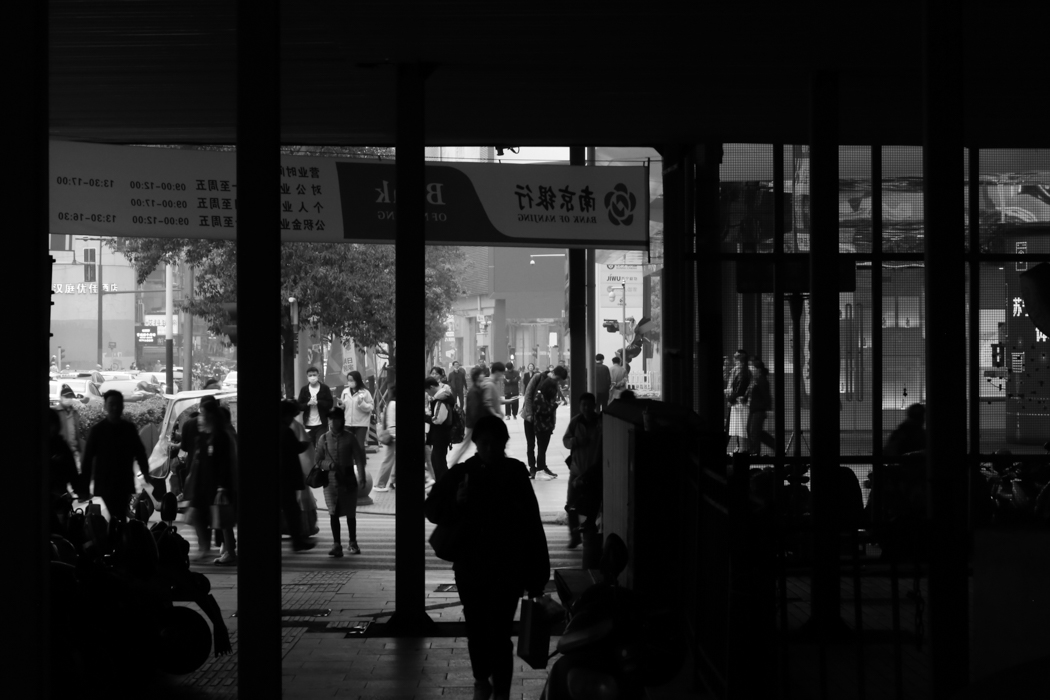 Live in Steel Forest