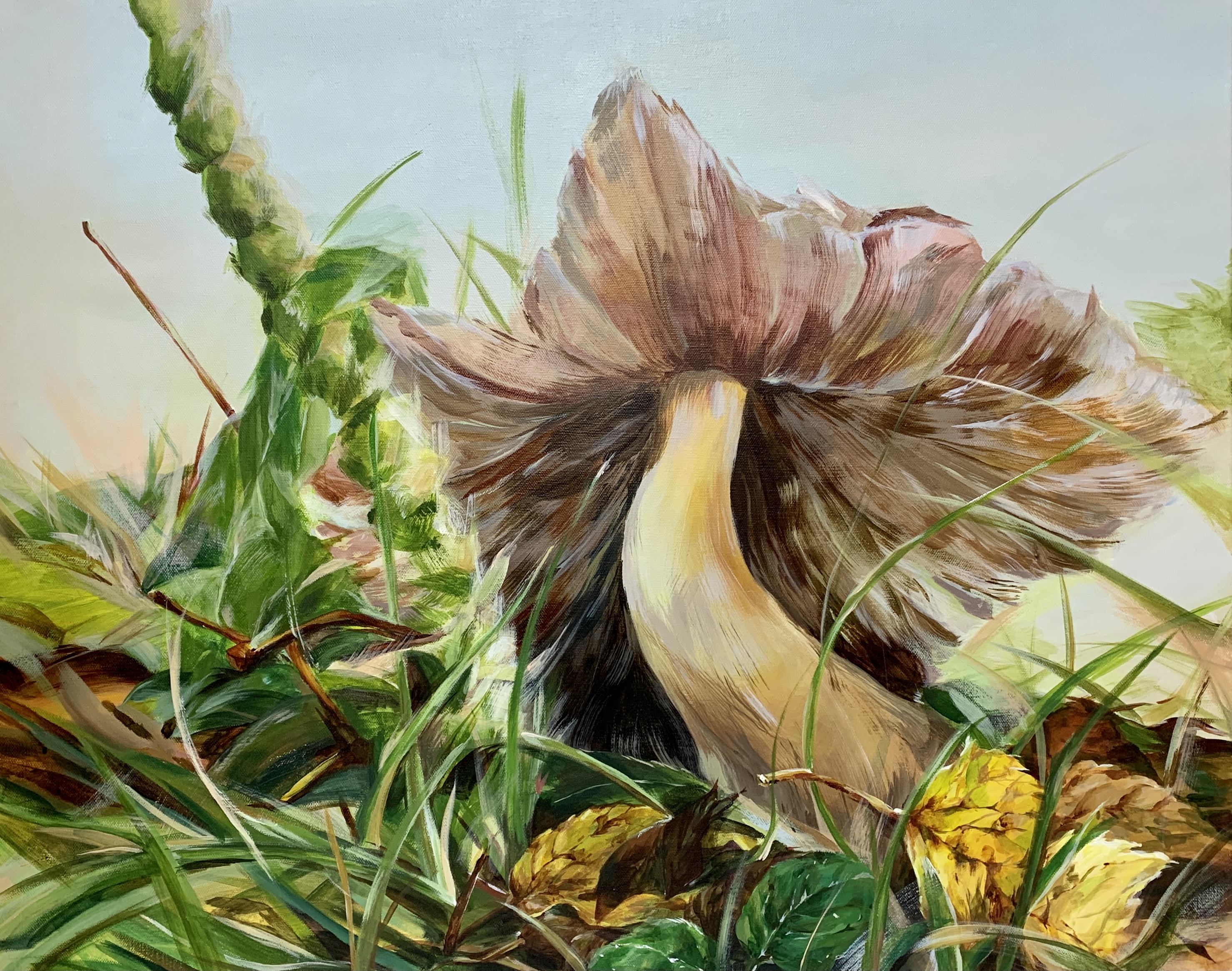 Nature's Gestures - Mushrooms Series