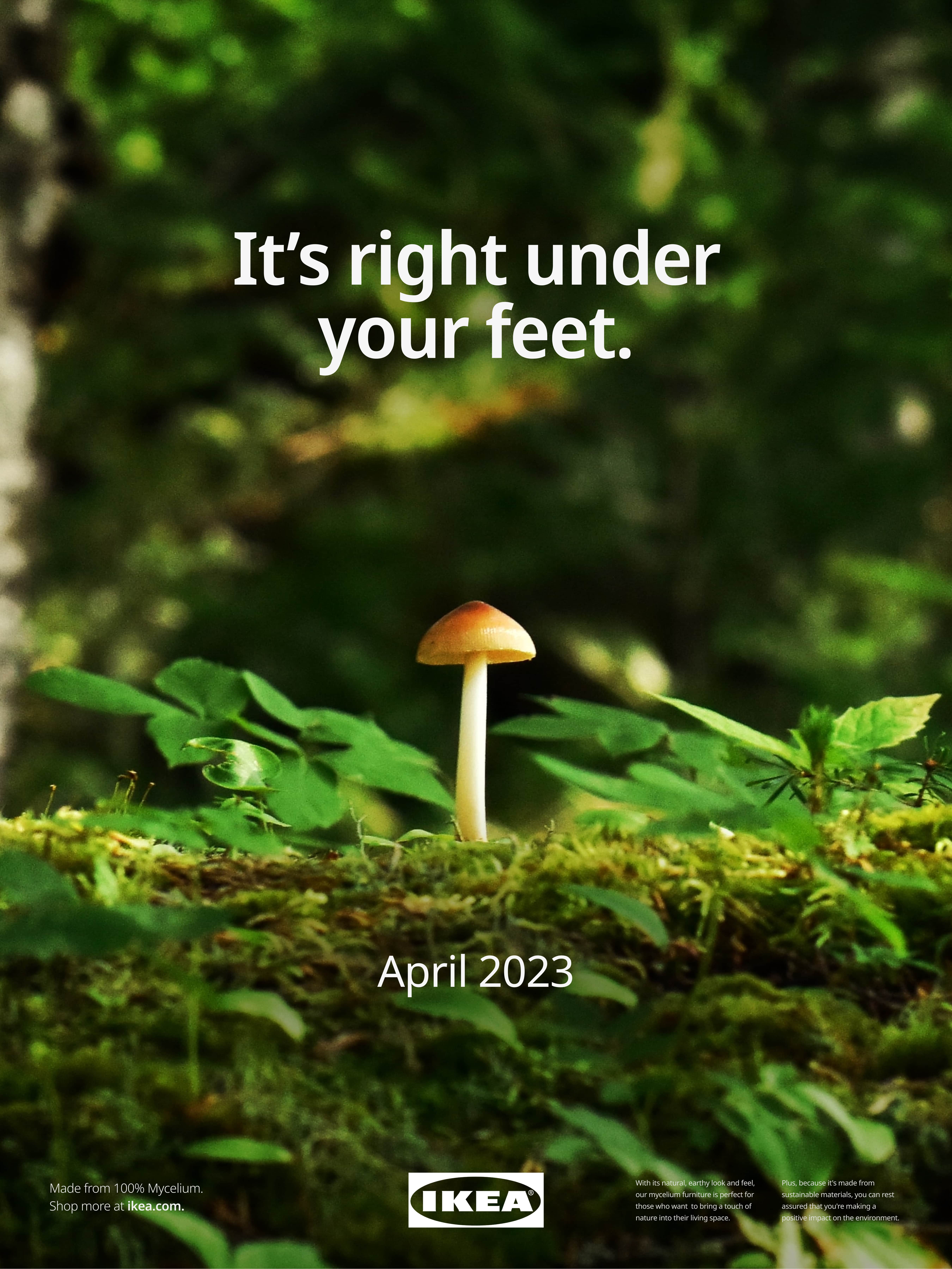 MYC&#214; Advertising Campaign