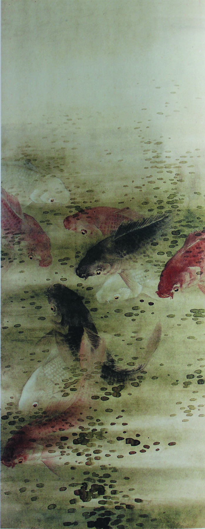 Nine Fishes
