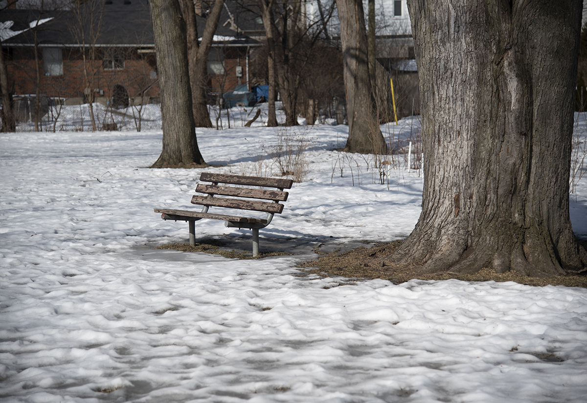 Where We Used to Walk