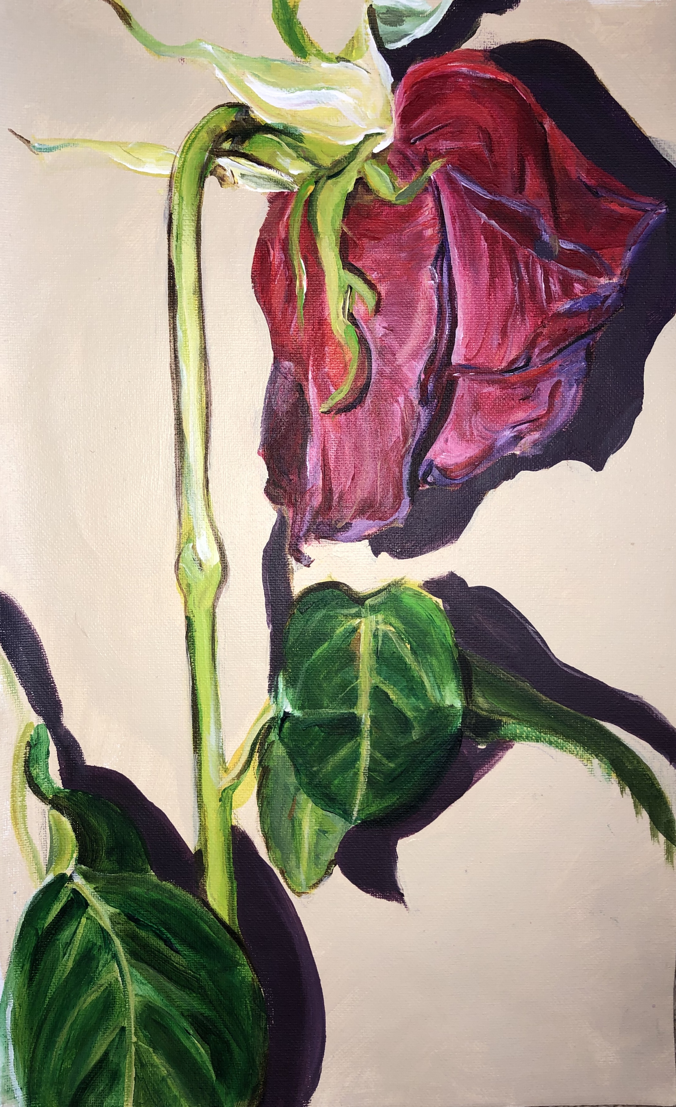 Degradation (series)