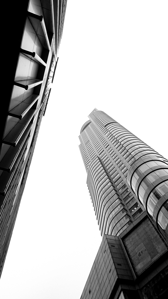 Live in Steel Forest