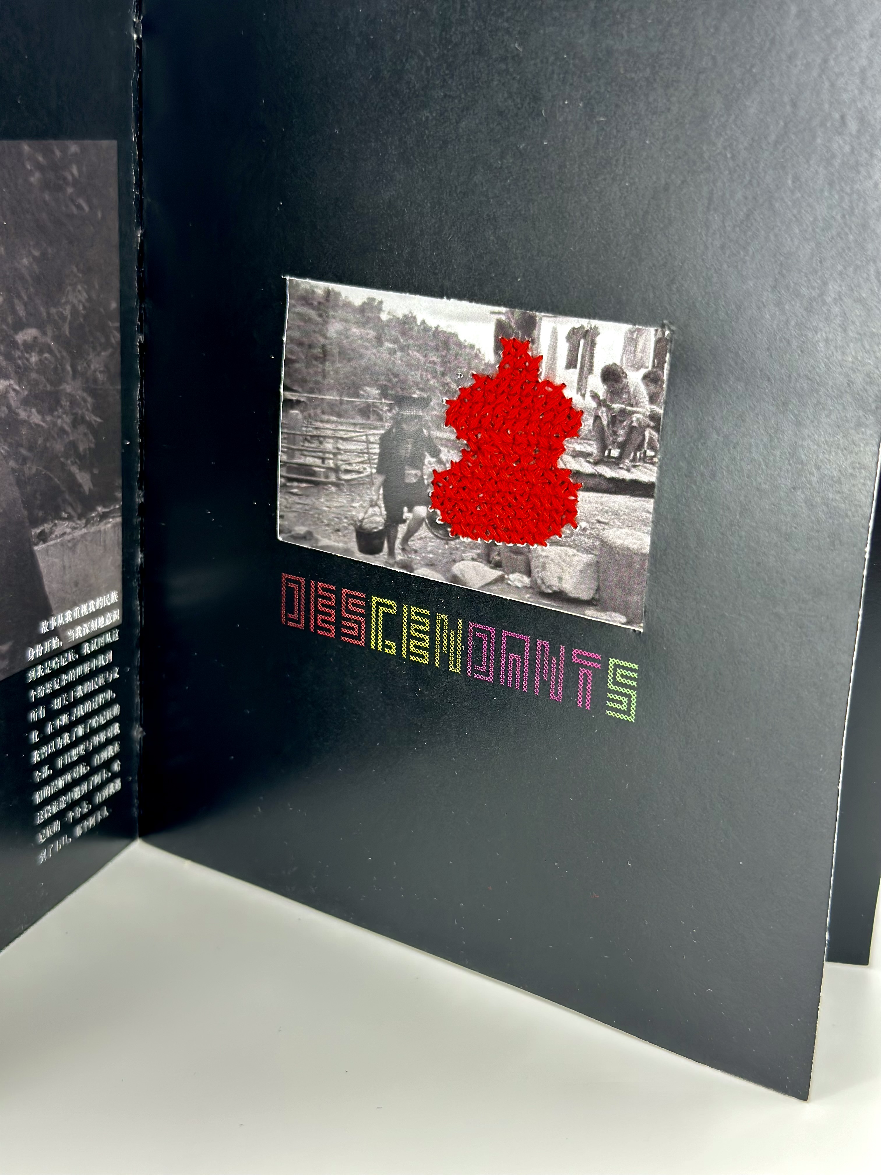 Embroidery——From Ha Ni to Aqkaq