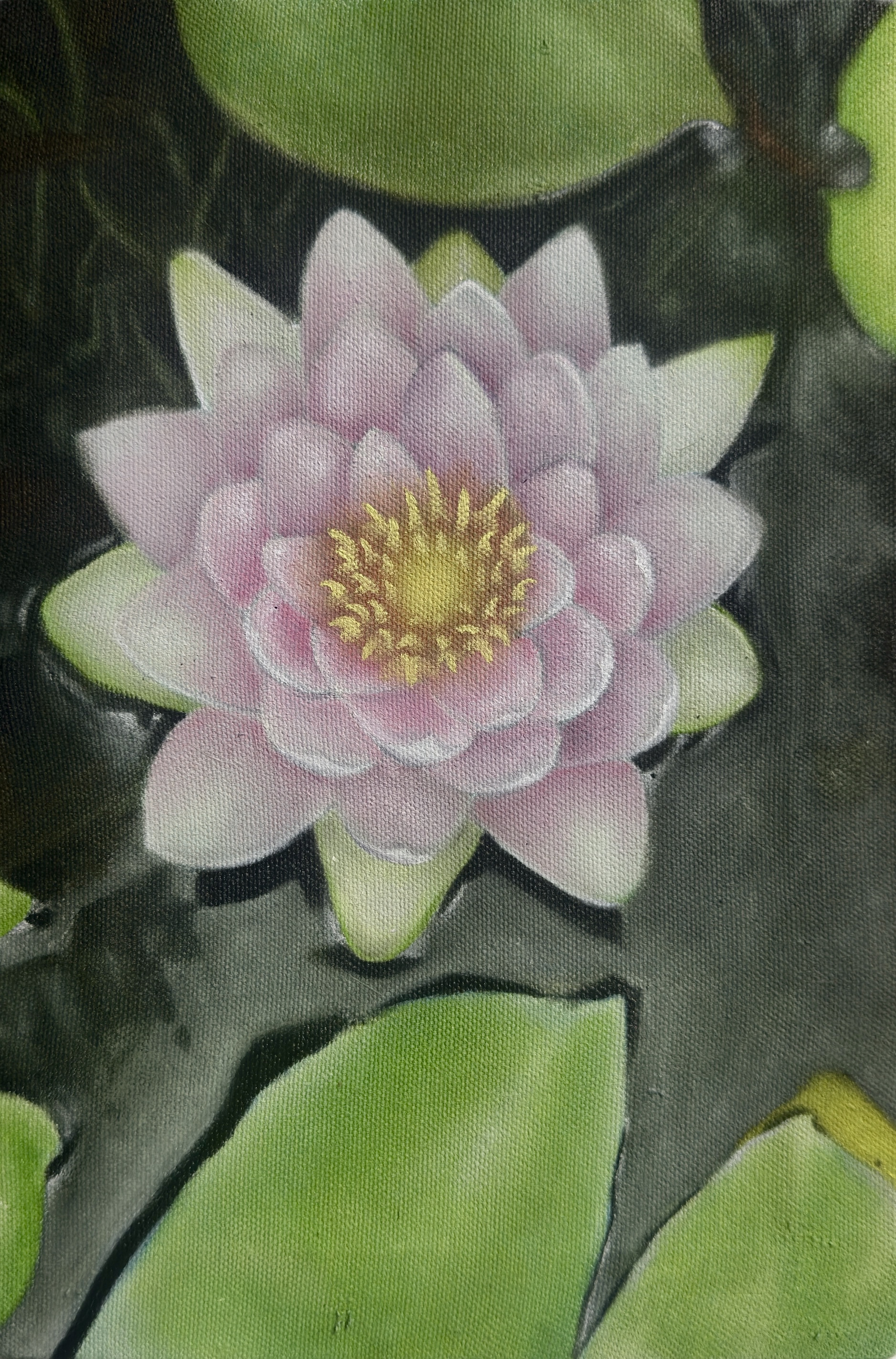 Backyard Lilly