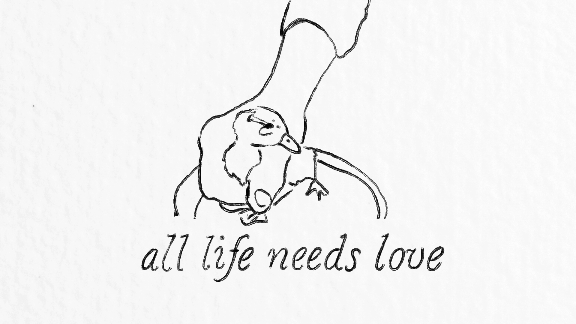 Sosuke the Duck (In Production)