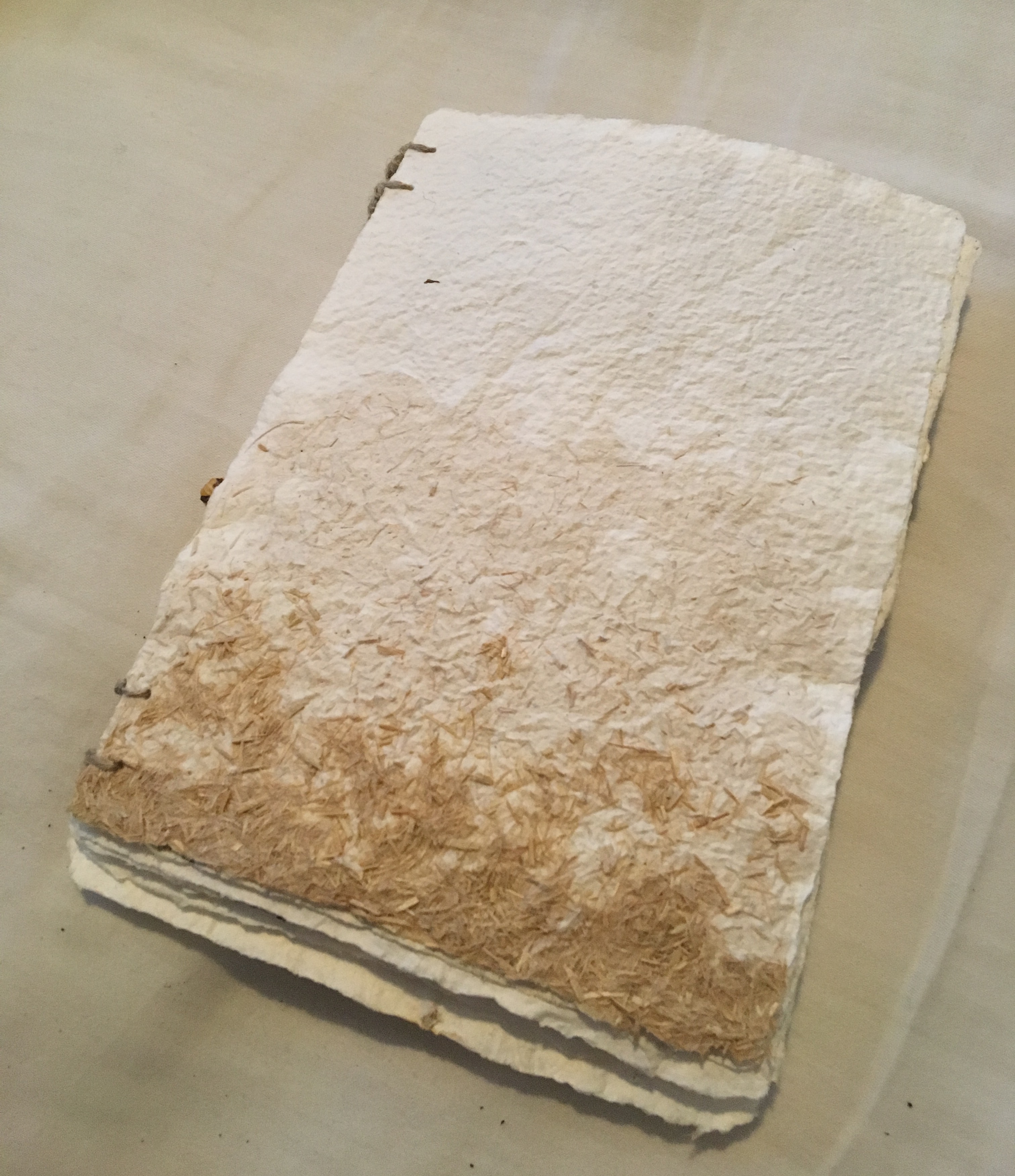 A Book From Seed and Soil