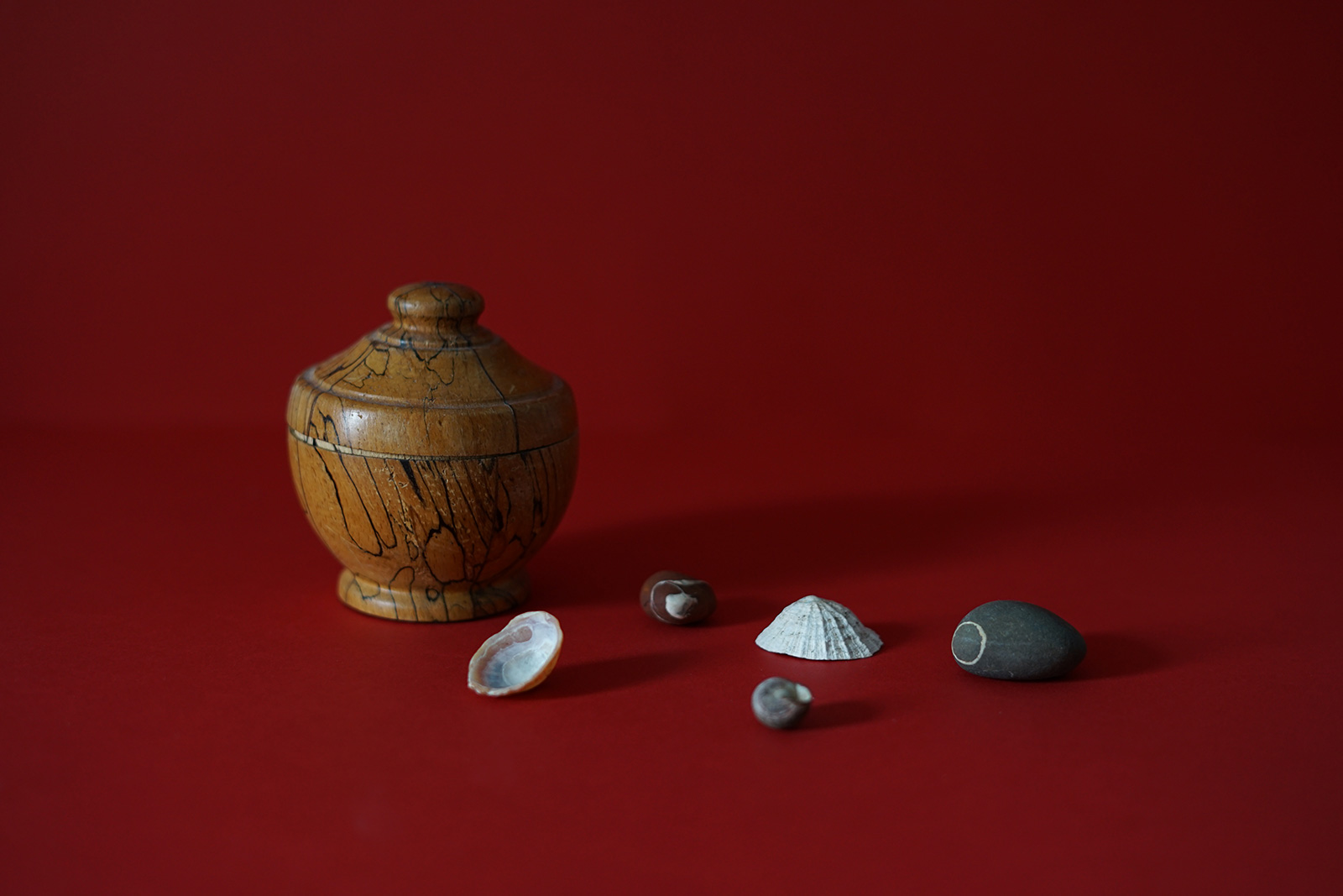 A Knot, A Network, A Thing, A World