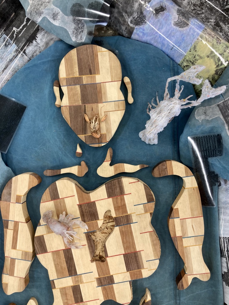 An Individual's Subjective Pathetic Fallacy