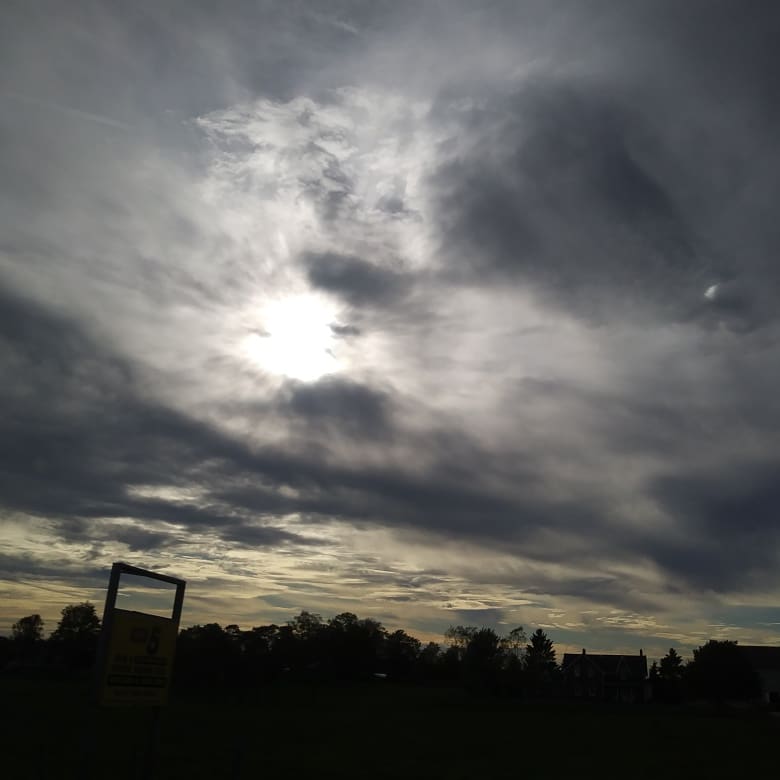 Photography Collection