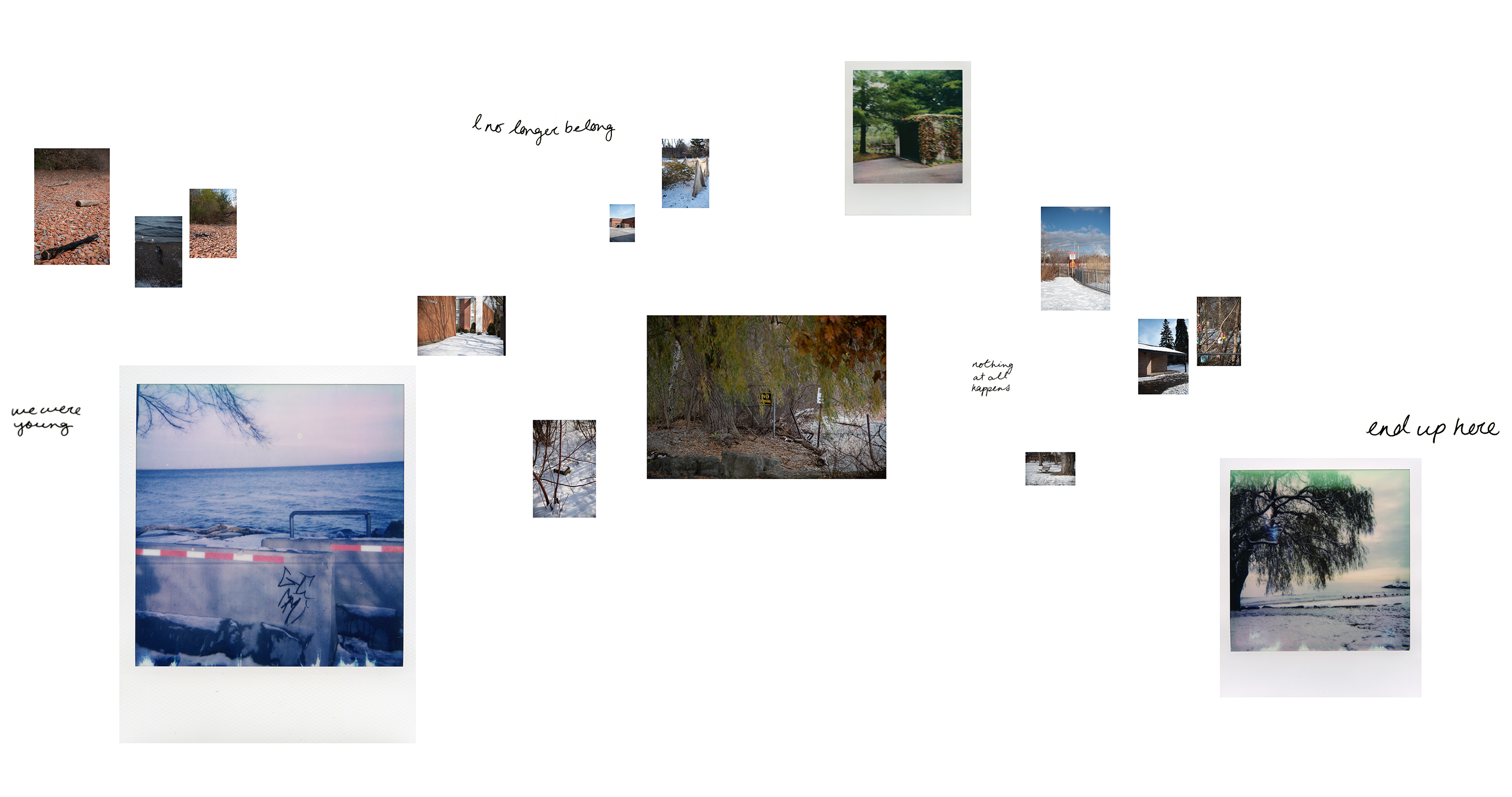 Where We Used to Walk - Installation