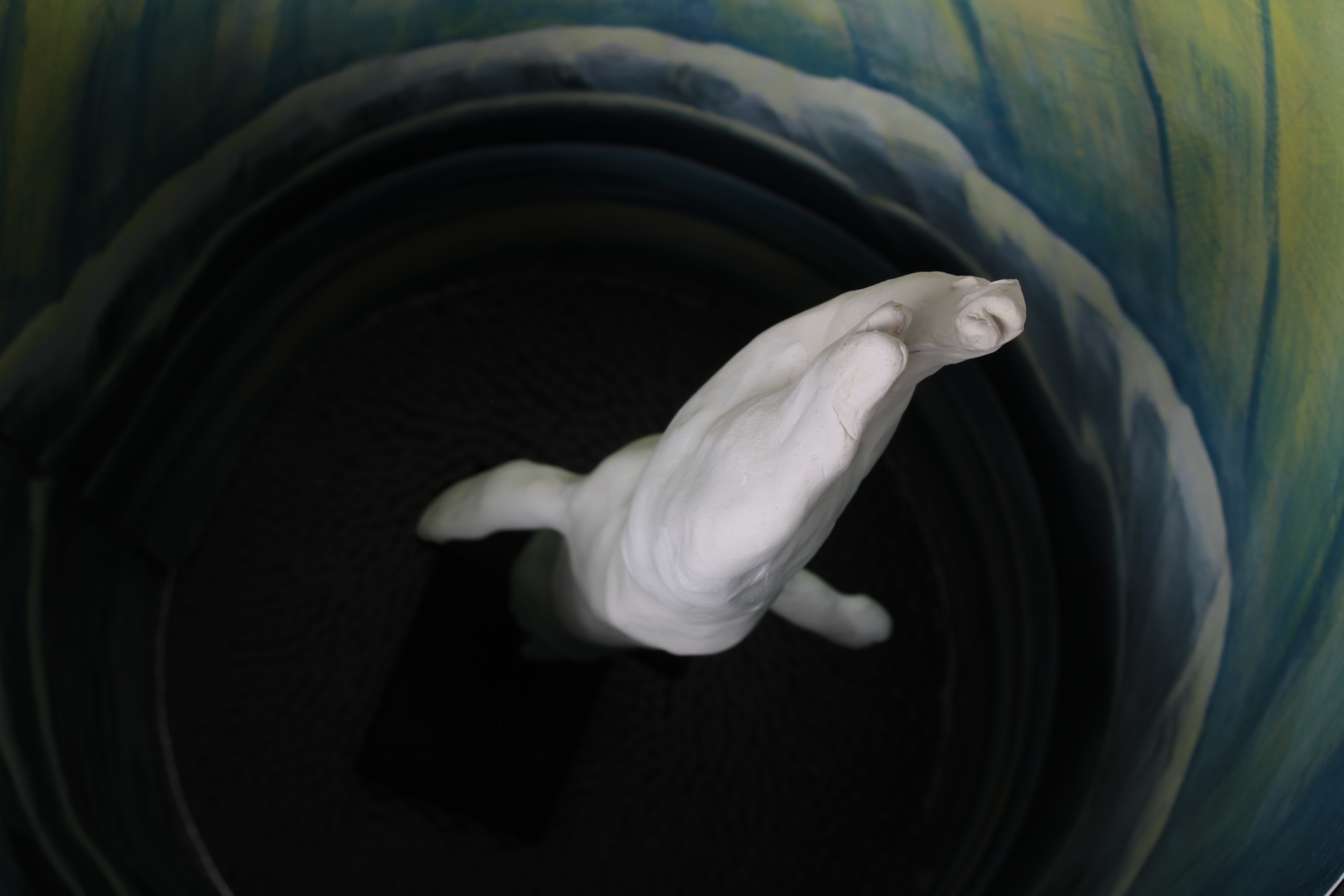 23 Beluga Stump