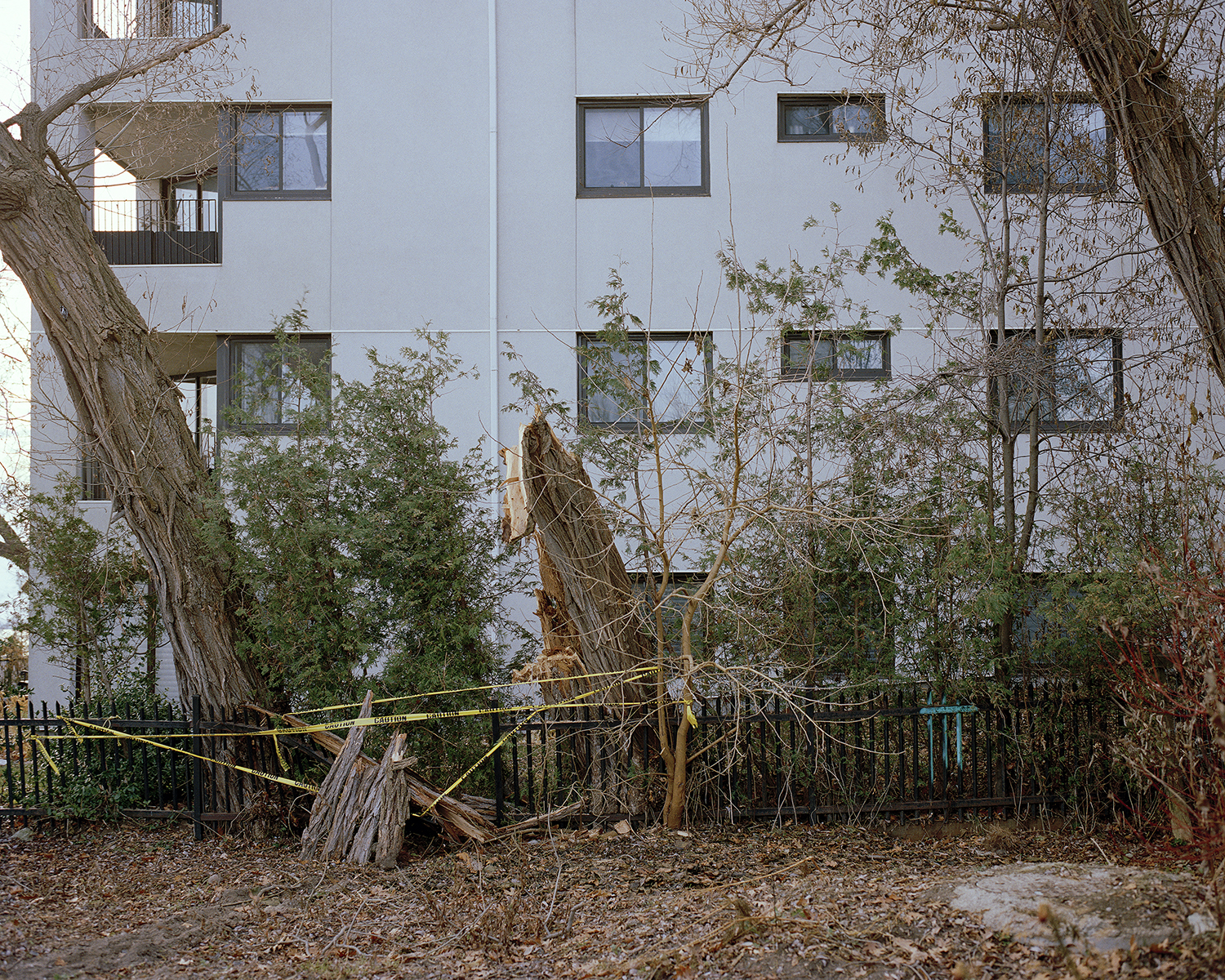 not today, not tomorrow