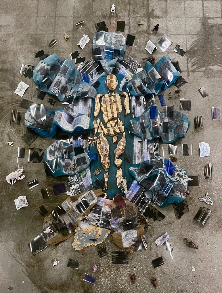 An Individual's Subjective Pathetic Fallacy