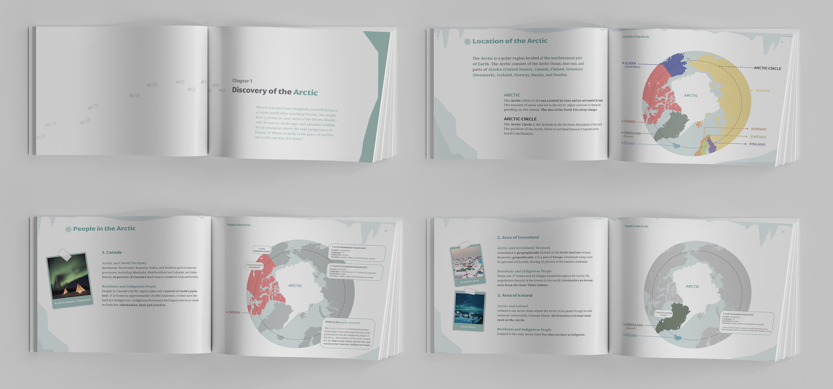 Save the Arctic Book/Booklet