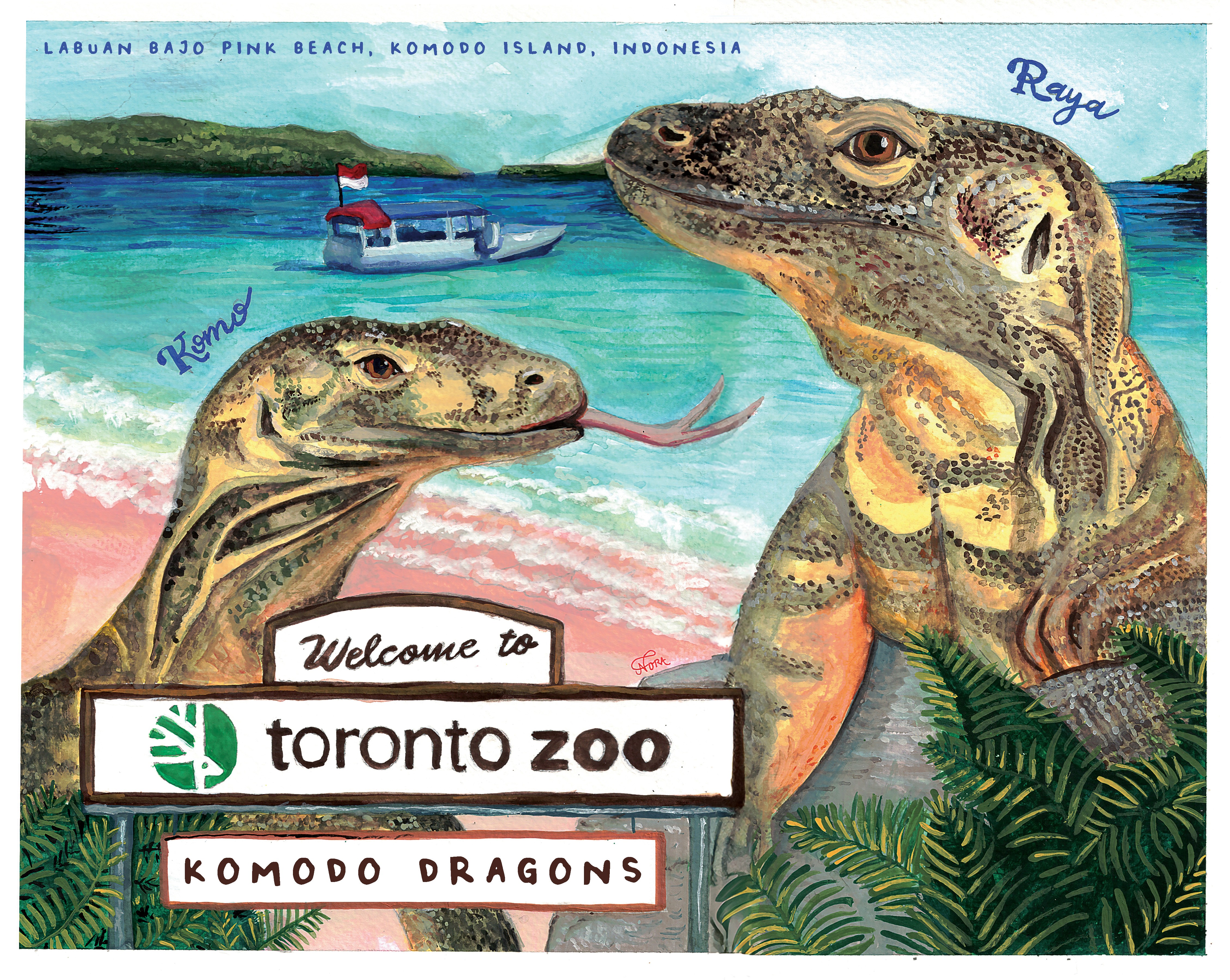 Komodo Dragons for the Toronto Zoo