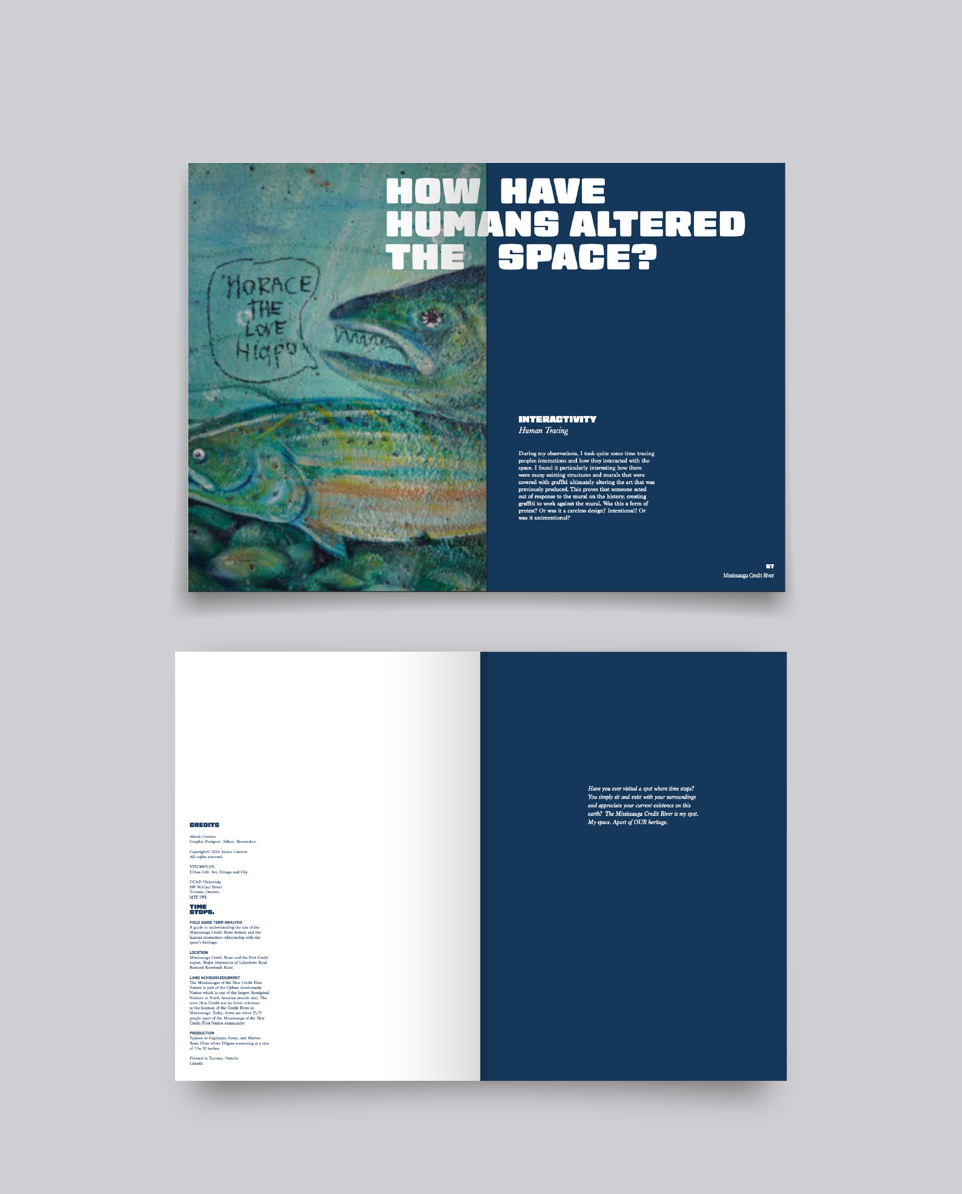 Mississauga Credit River Feild Guide