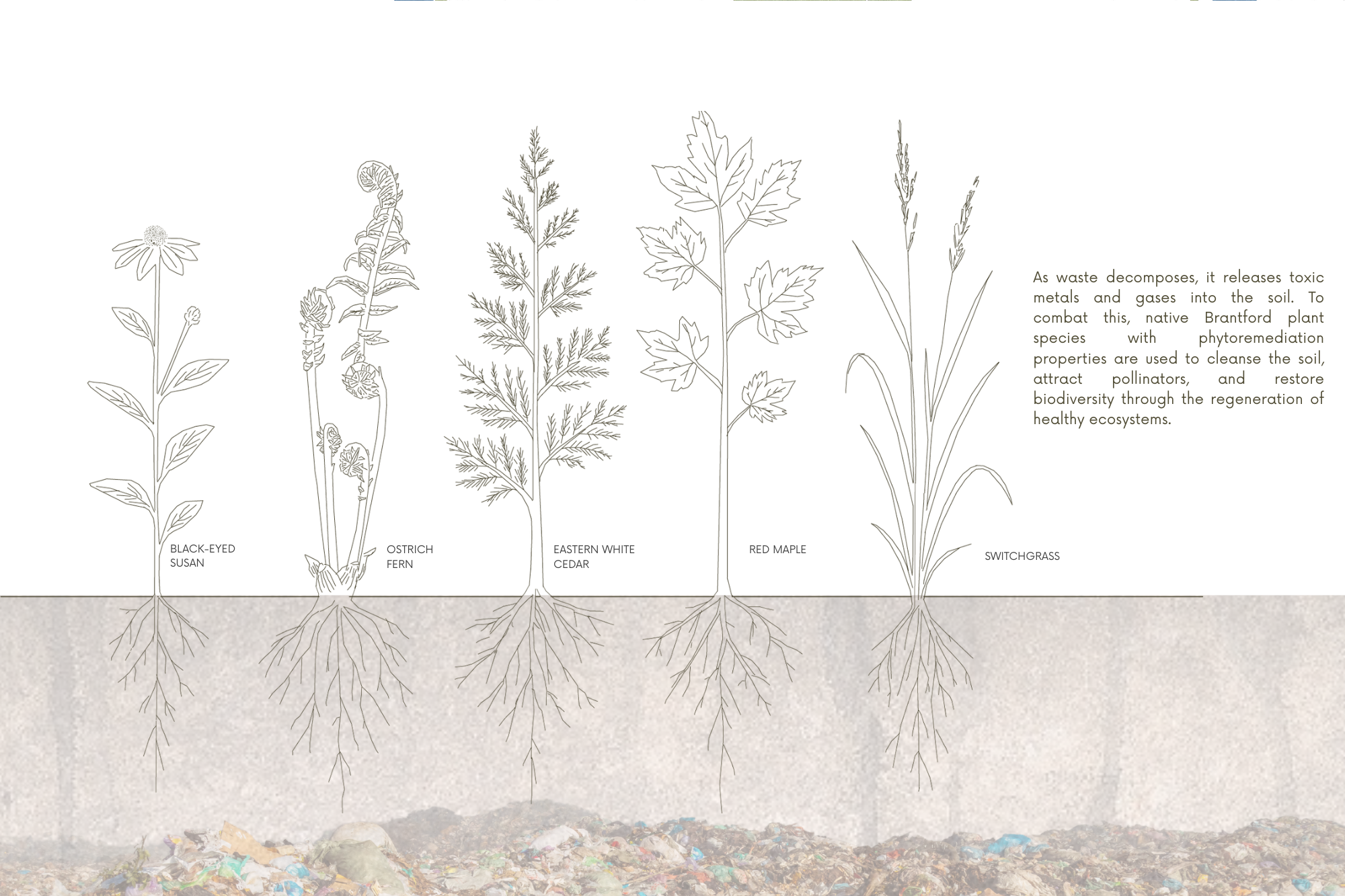 Metamorphosis of Waste